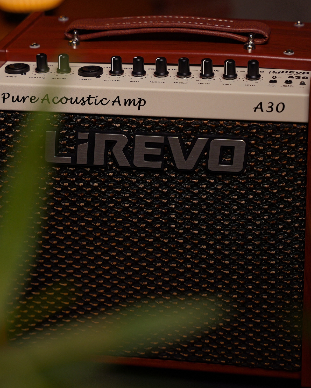 Lirevo A30 Acoustic Guitar Amplifier 30W India