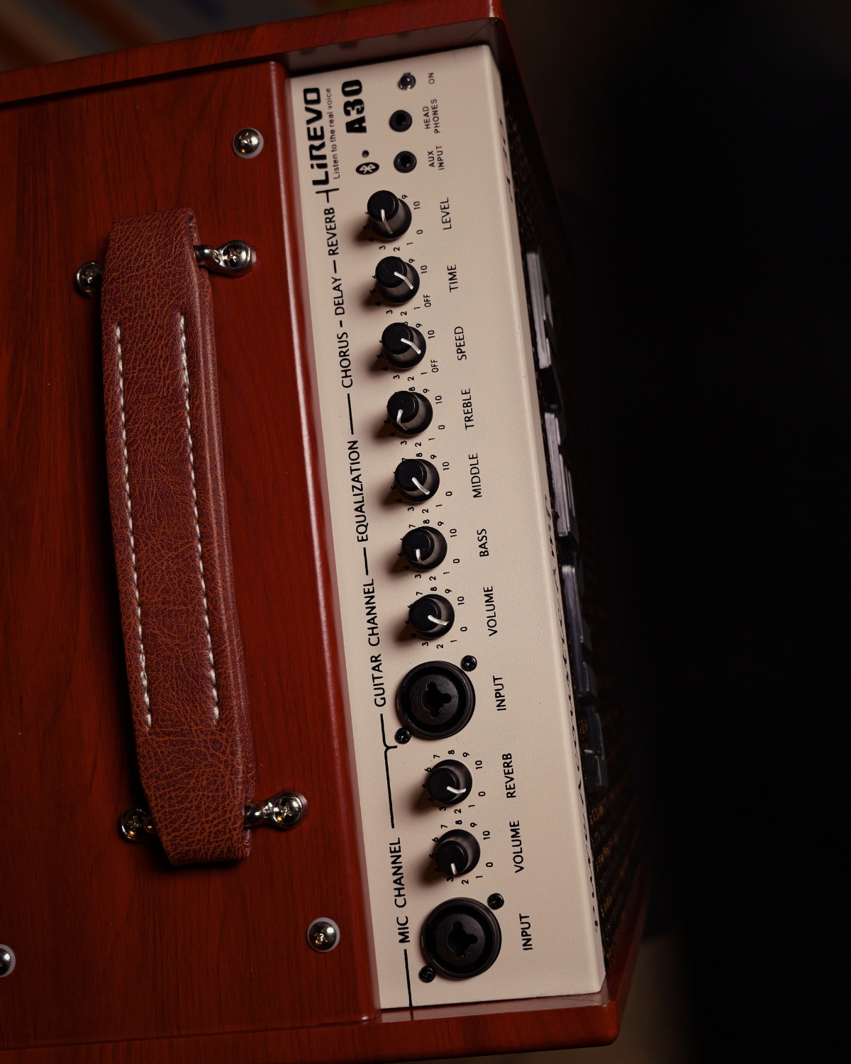 Lirevo A30 Acoustic Guitar Amplifier  30W India