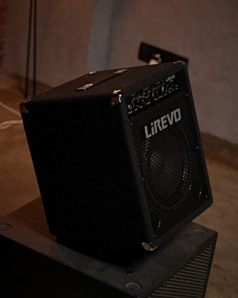 Lirevo B40 10 inch Speaker