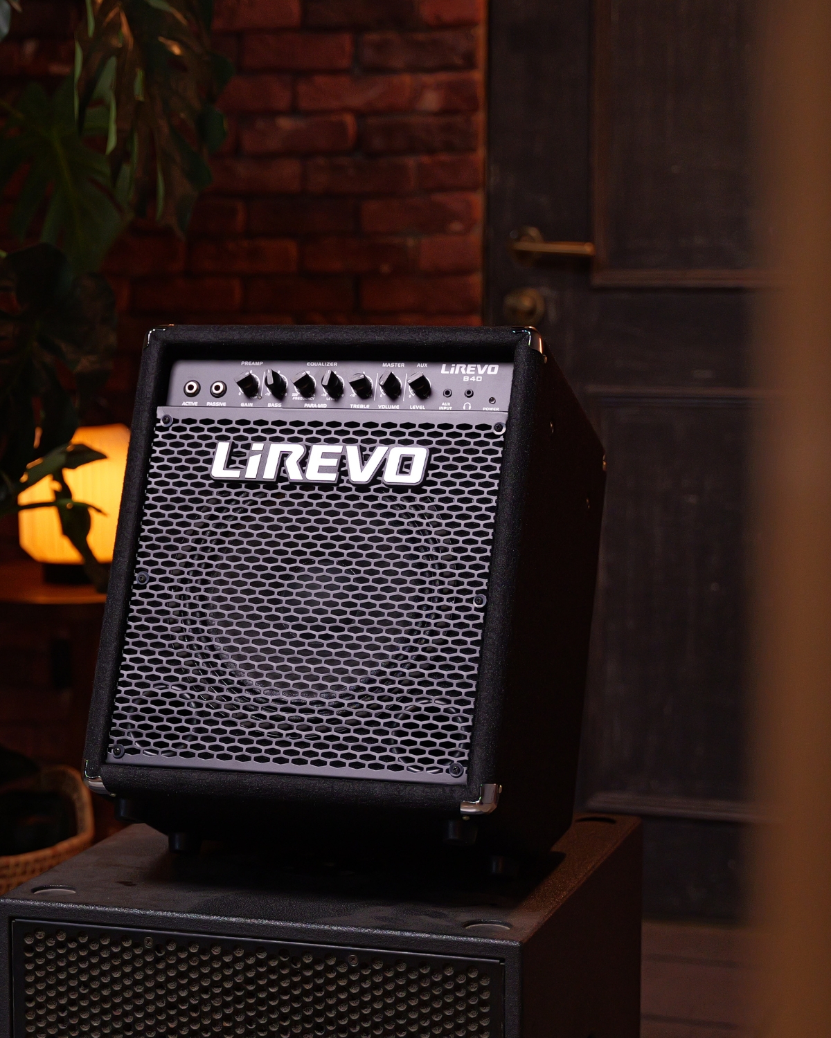 Lirevo B40 40W Bass Guitar Amplifier India
