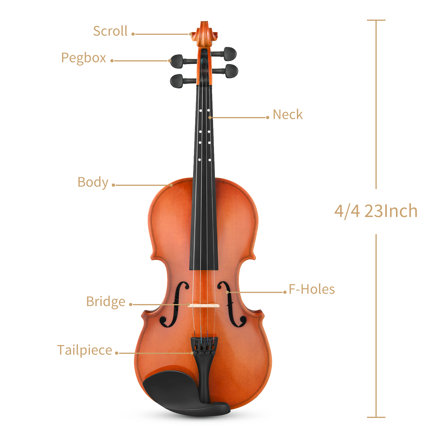 Eastar Violin EVA2 44 Full Size for Adults Violin Set for Beginners with Hard Case Rosin Shoulder Rest Bow and Extra Strings Imprinted Finger Guide on Fingerboard