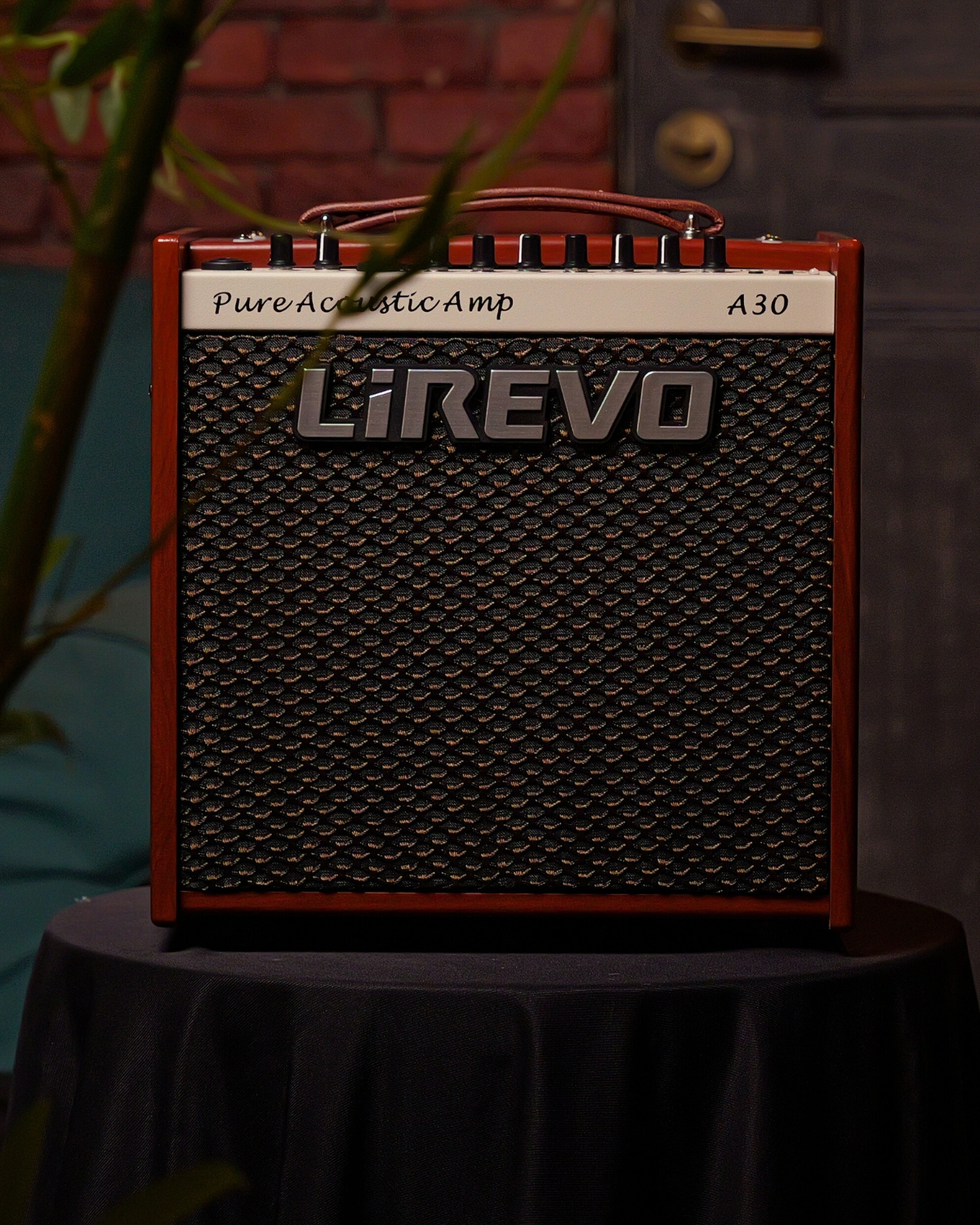 Lirevo A30 Acoustic Guitar Amplifier 30W India