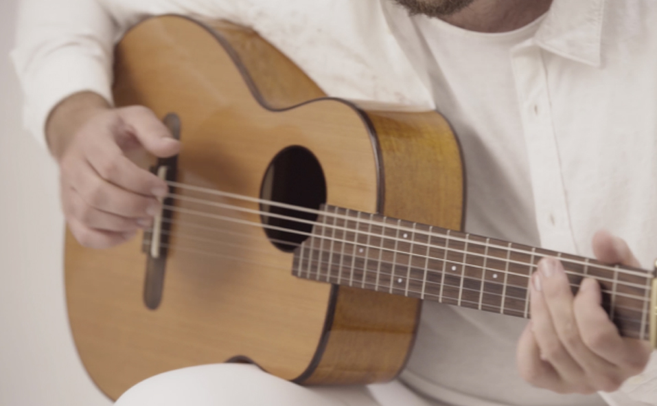 aNueNue MN14 solid cedar top travel classical guitar