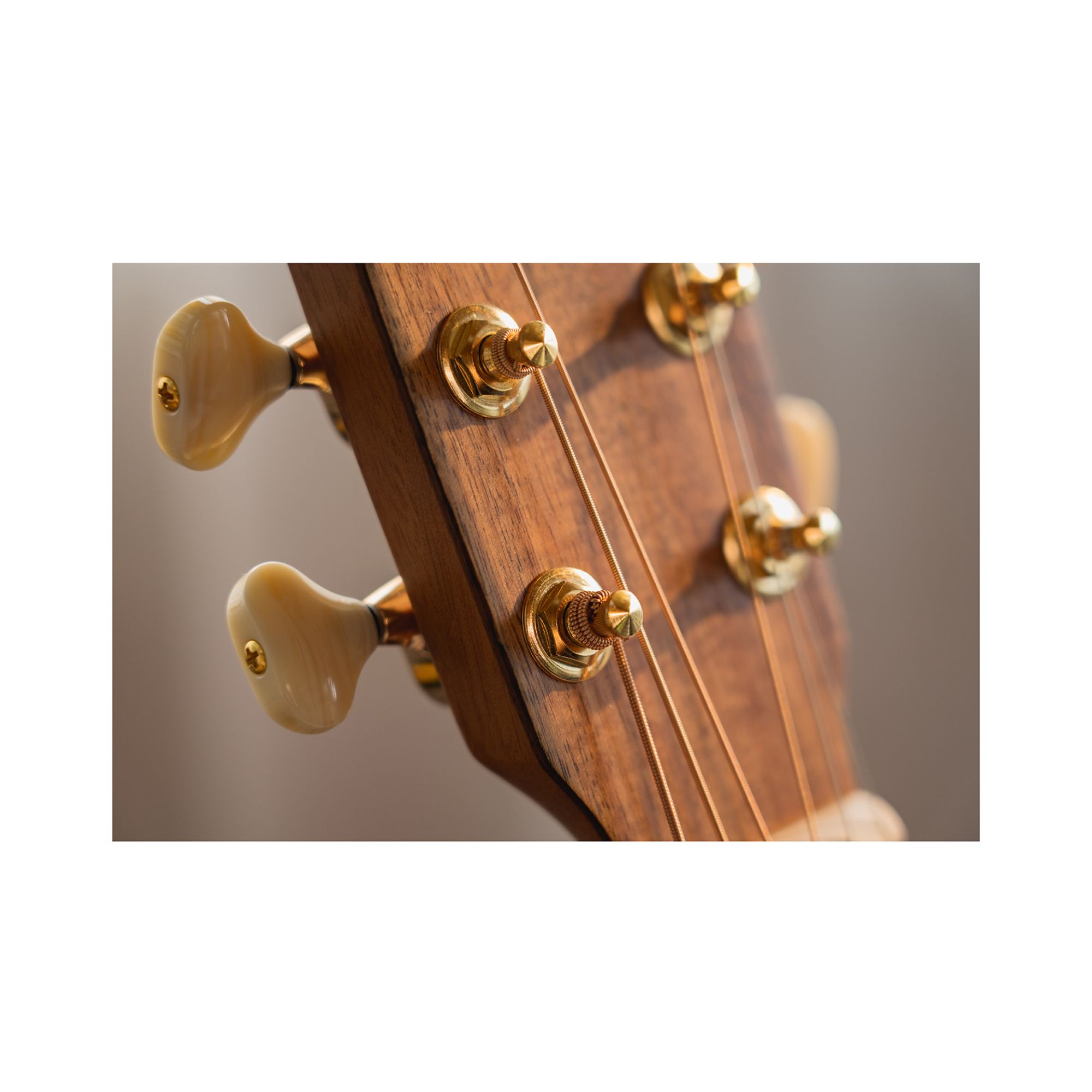 aNueNue L20 Solid Mahogany Top