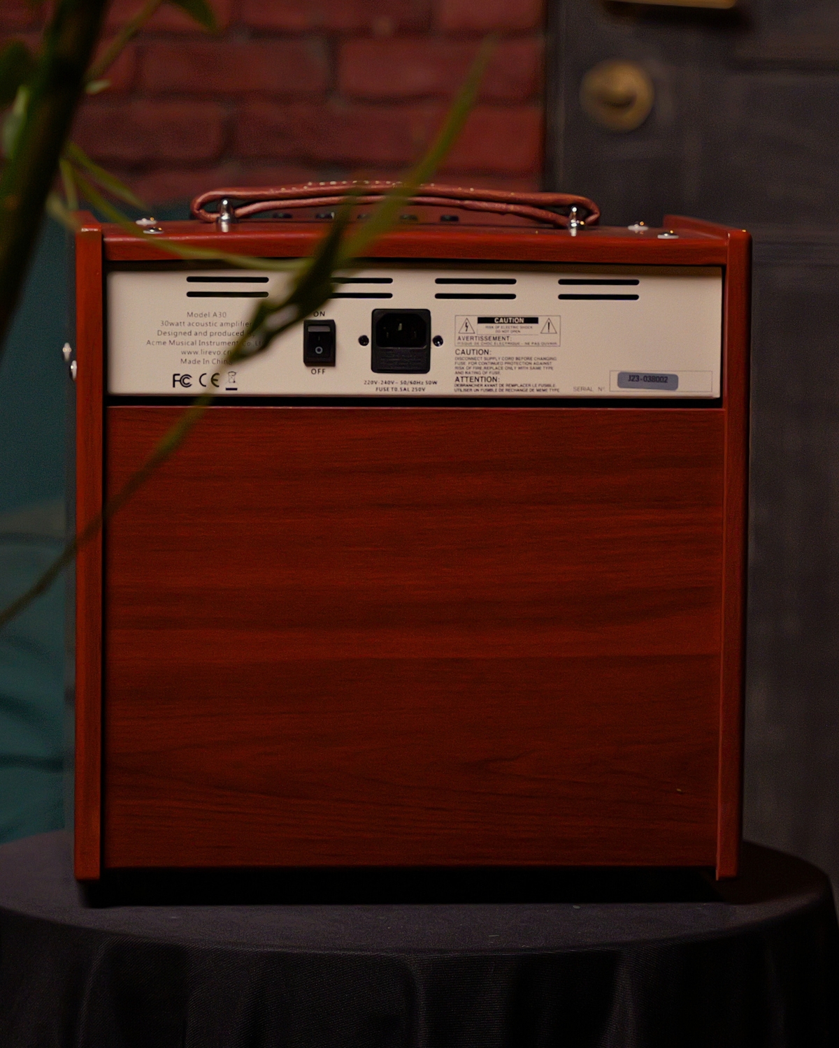 Lirevo A30 Acoustic Guitar Amplifier  30W India