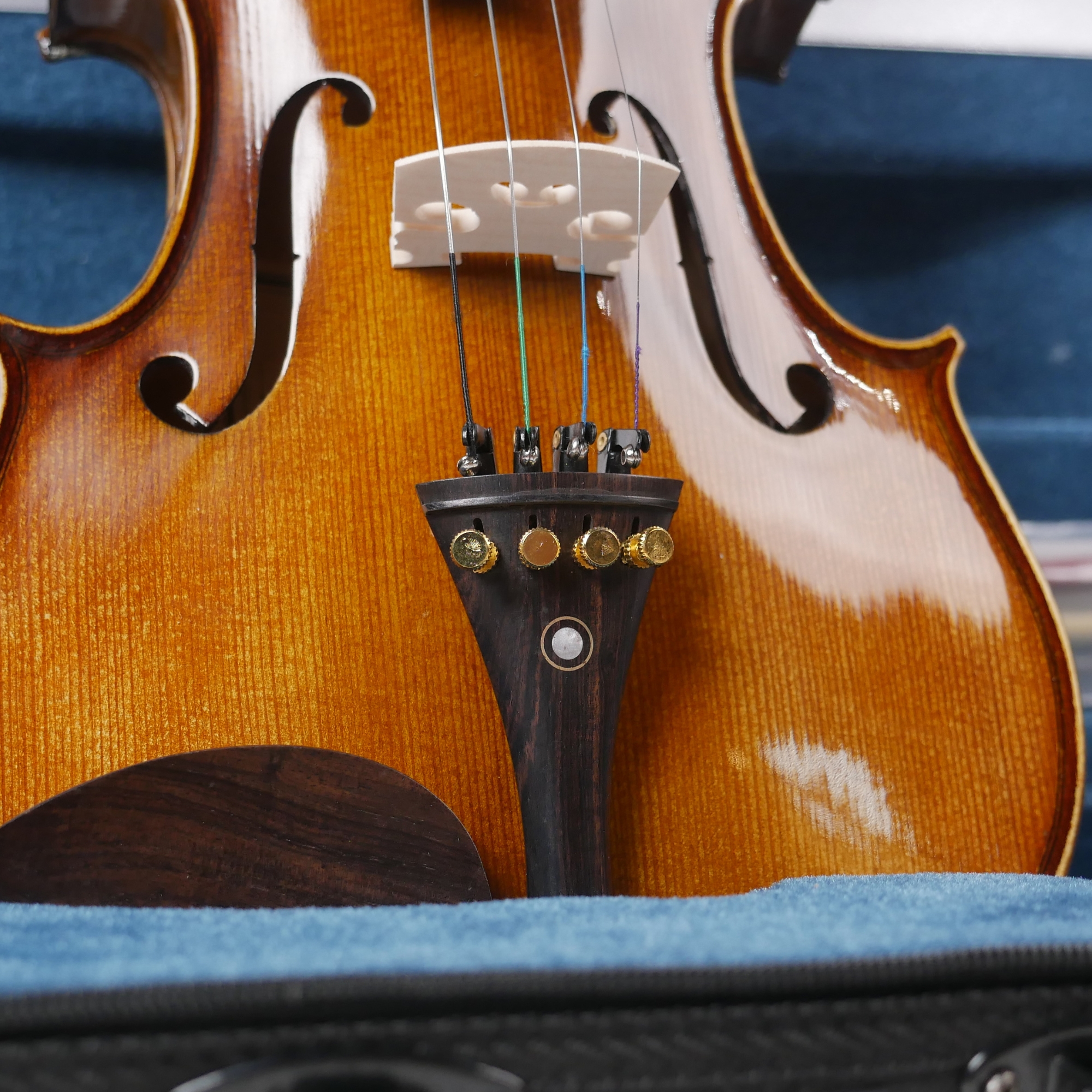 Procraft lumina Premium Handcrafted Violin Solid Spruce Maple Ebony Ember gloss