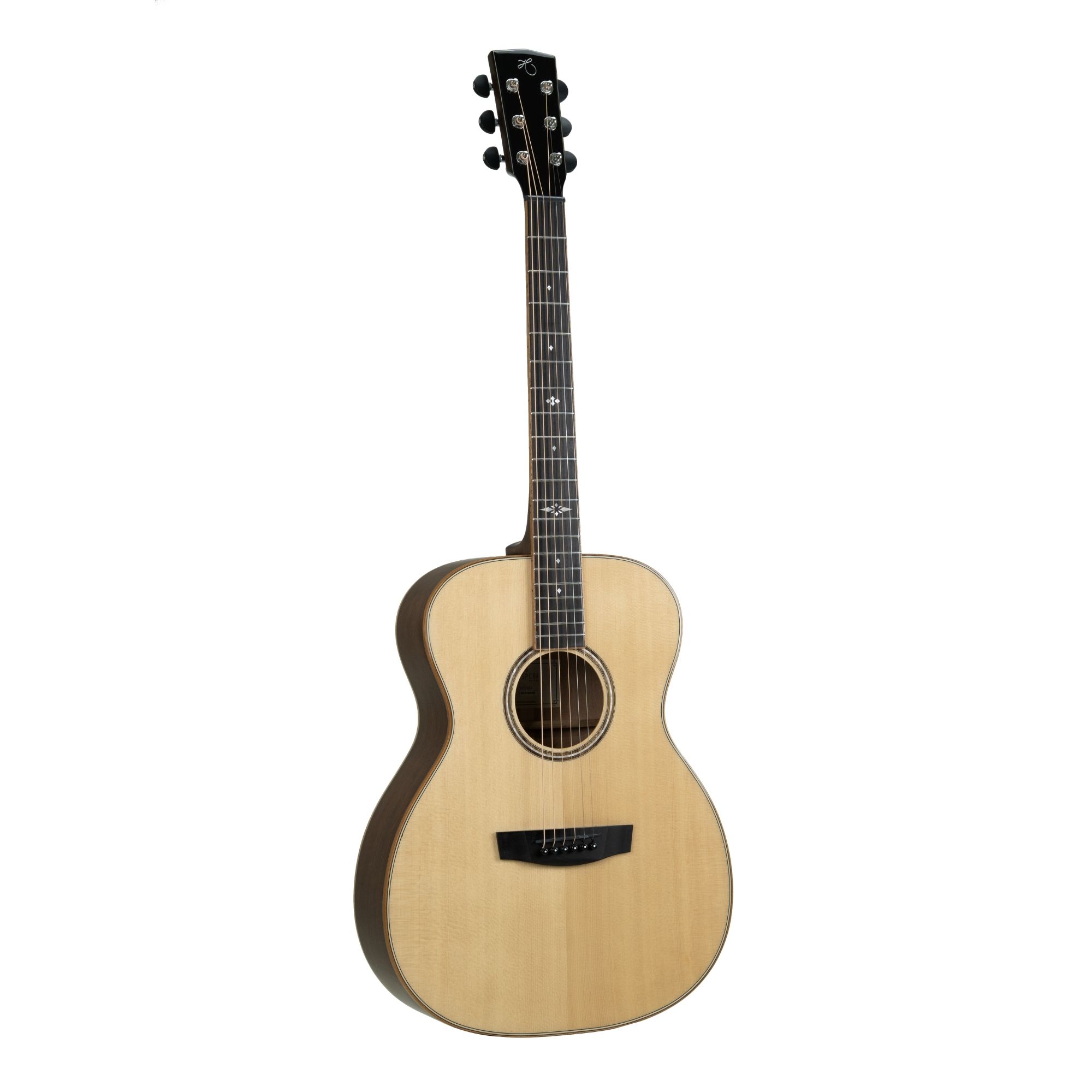 Hex Guitars VF500E