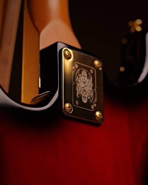 ST30M Texas Flood Image 2