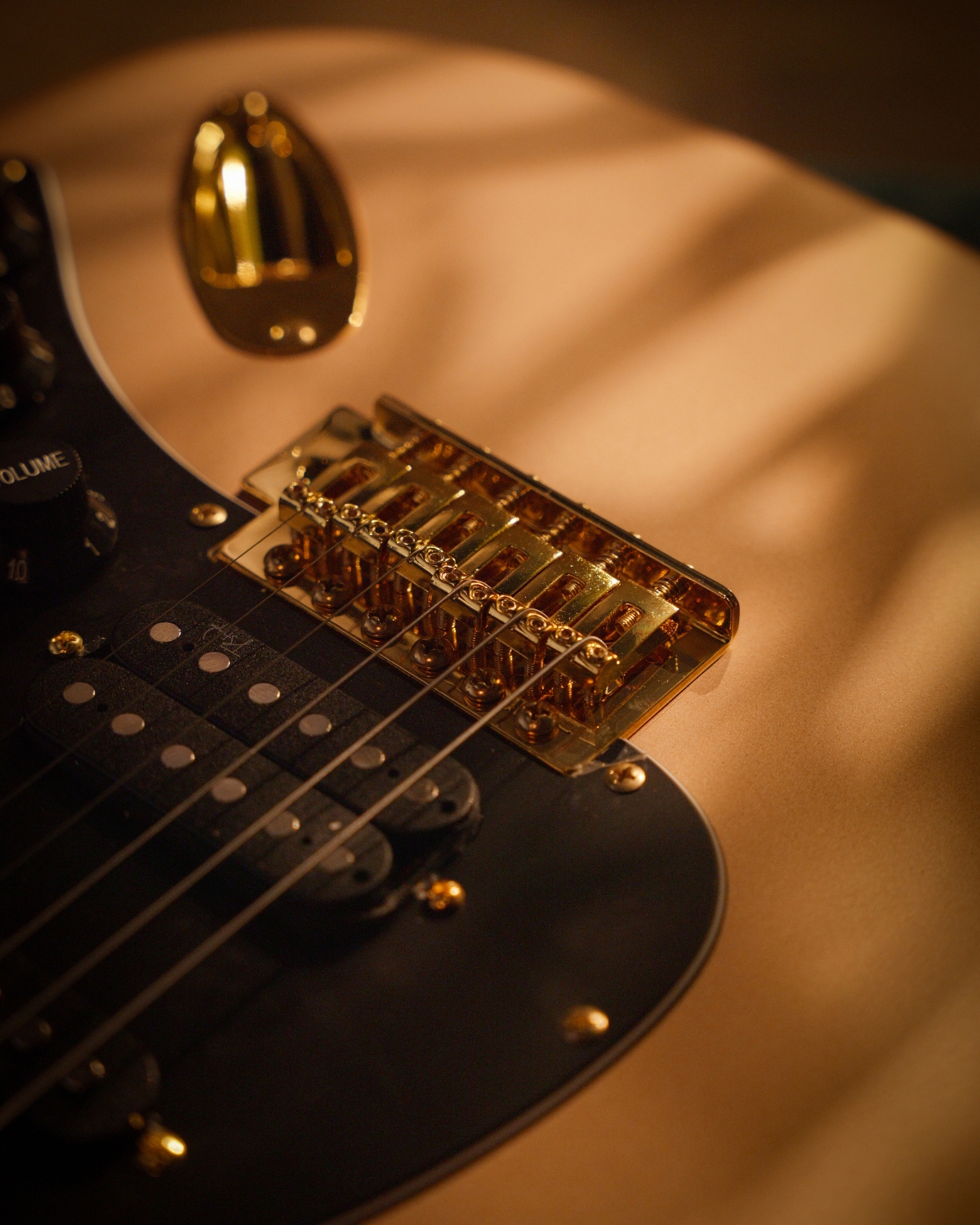 Strydom ST20M Nova Gold Electric Guitar Gold Hardware