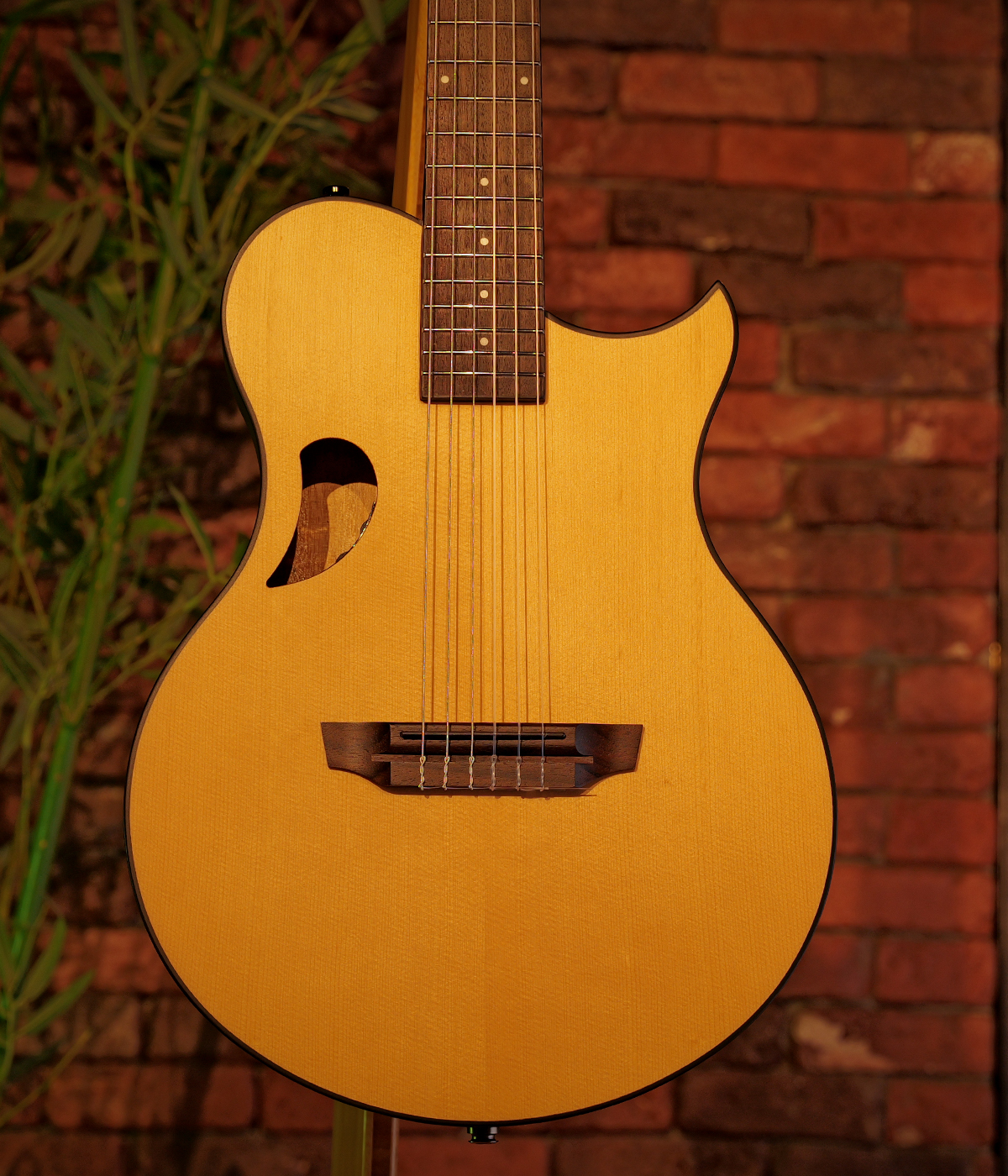 Hex Y500N CLASSICAL GUITAR WITH LR BAGGS ELEMENT BRONZE EQ