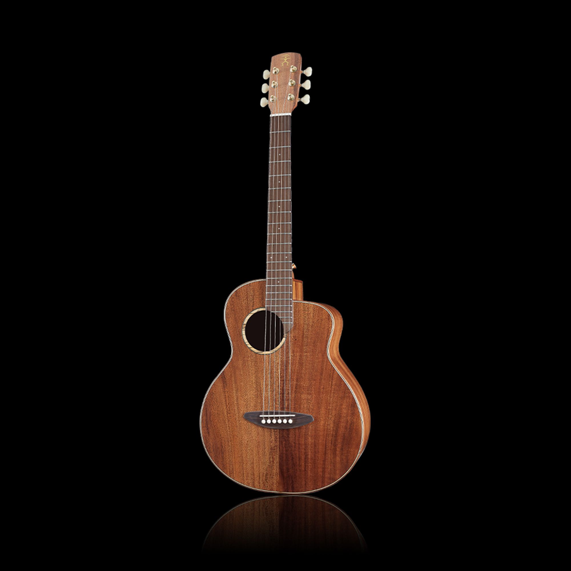 aNueNue M30 Solid acacia top travel guitar
