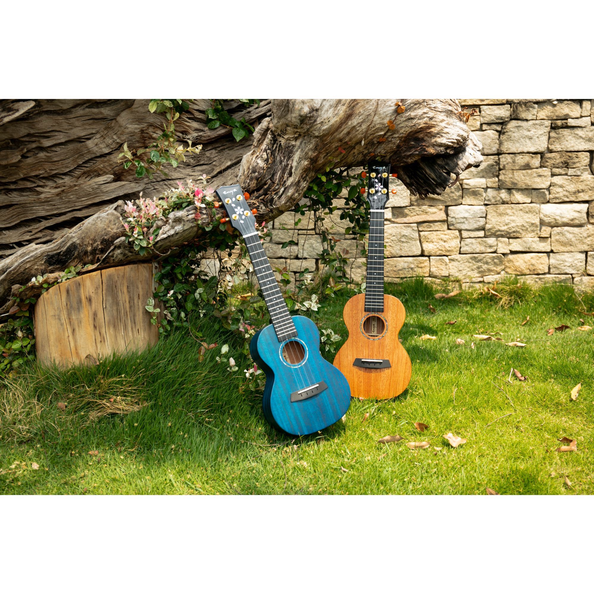 Enya EUC MS Blue All Solid Mahogany