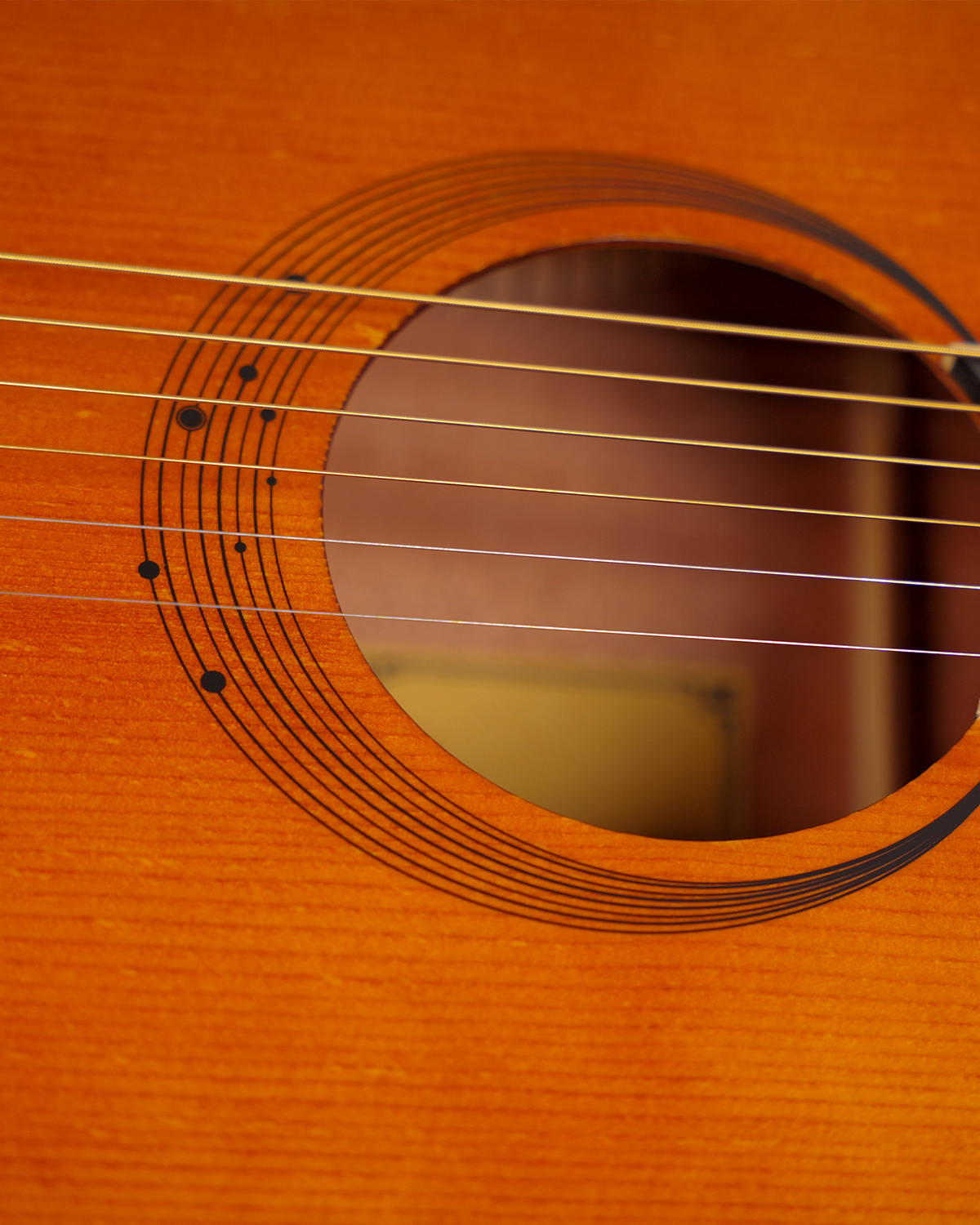 GC Guitars A2 Vintage Top Acoustic Guitar