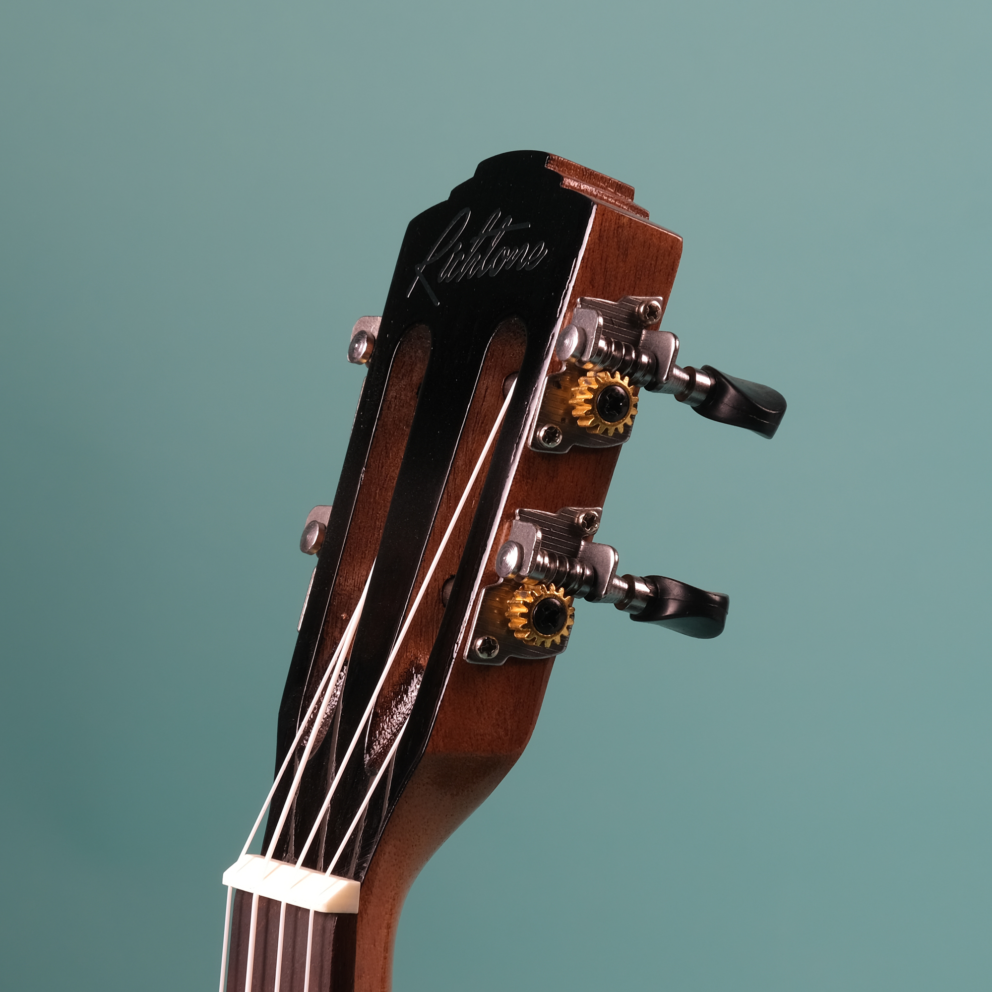 Richtone RT26 RS - Rosewood Tenor