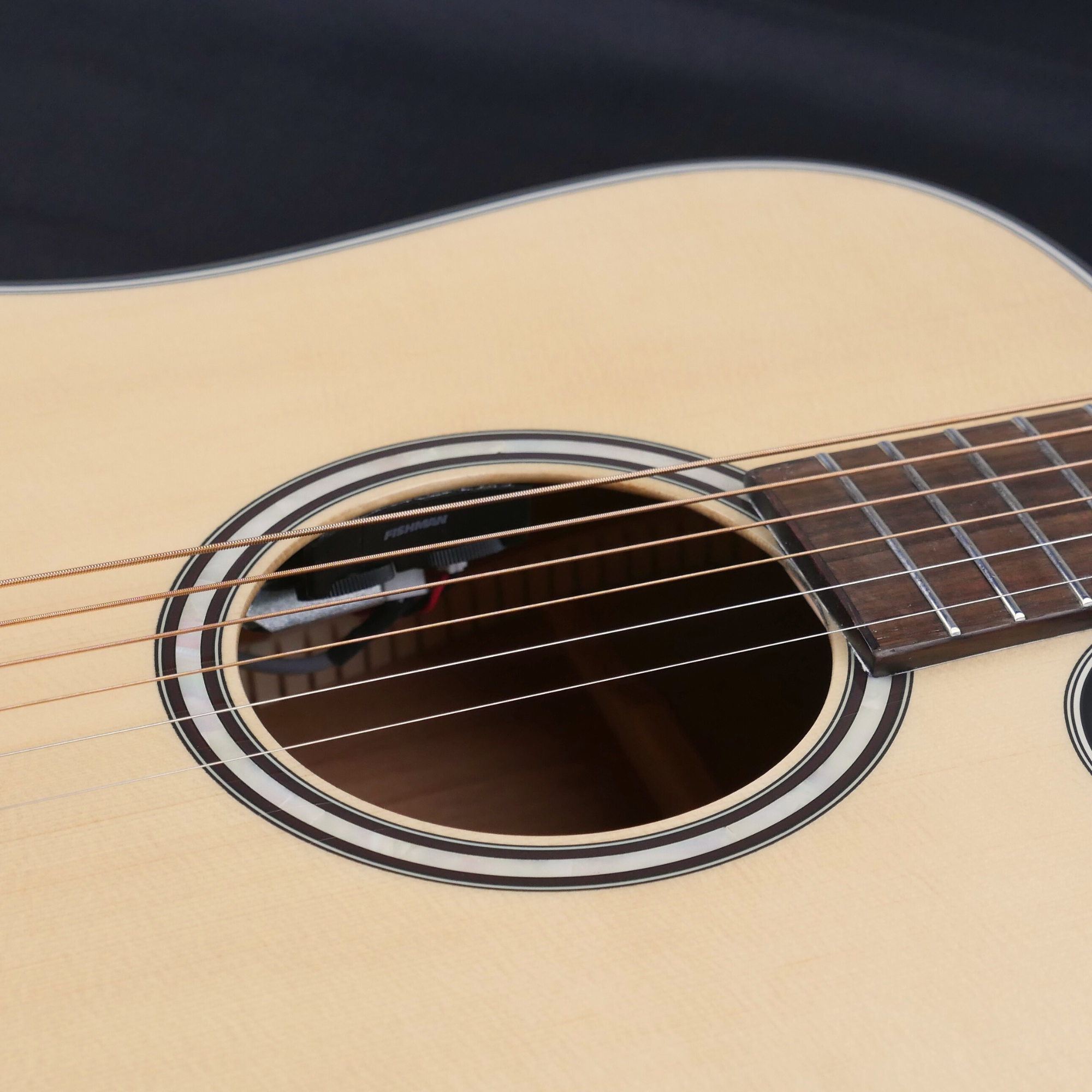 Hex D500CEG -QUEEN SERIES WITH FISHMAN EQ - ALL SOLID