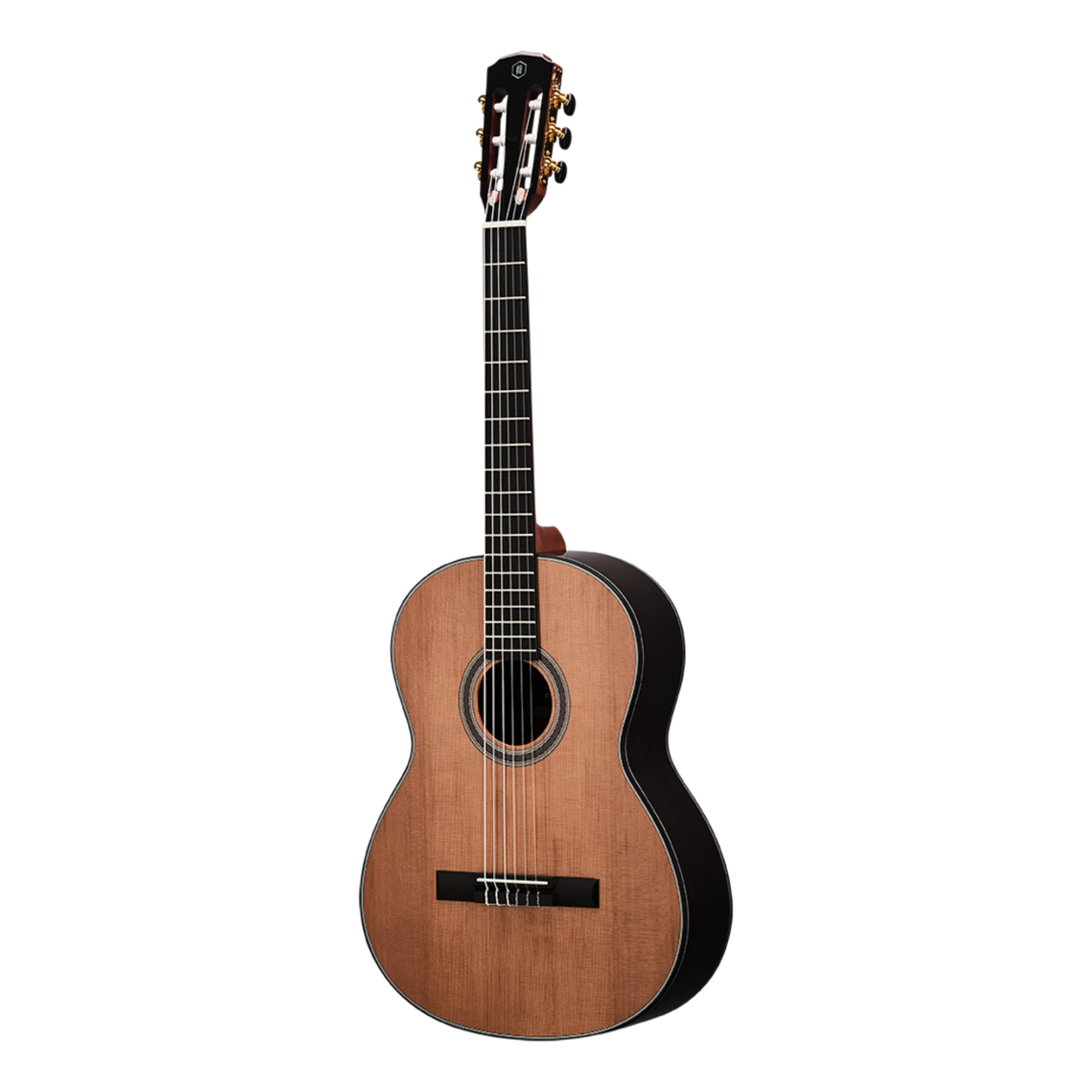 HEX C350G ROASTED SOLID SPRUCE TOP 39 CLASSICAL POLLEN SERIES
