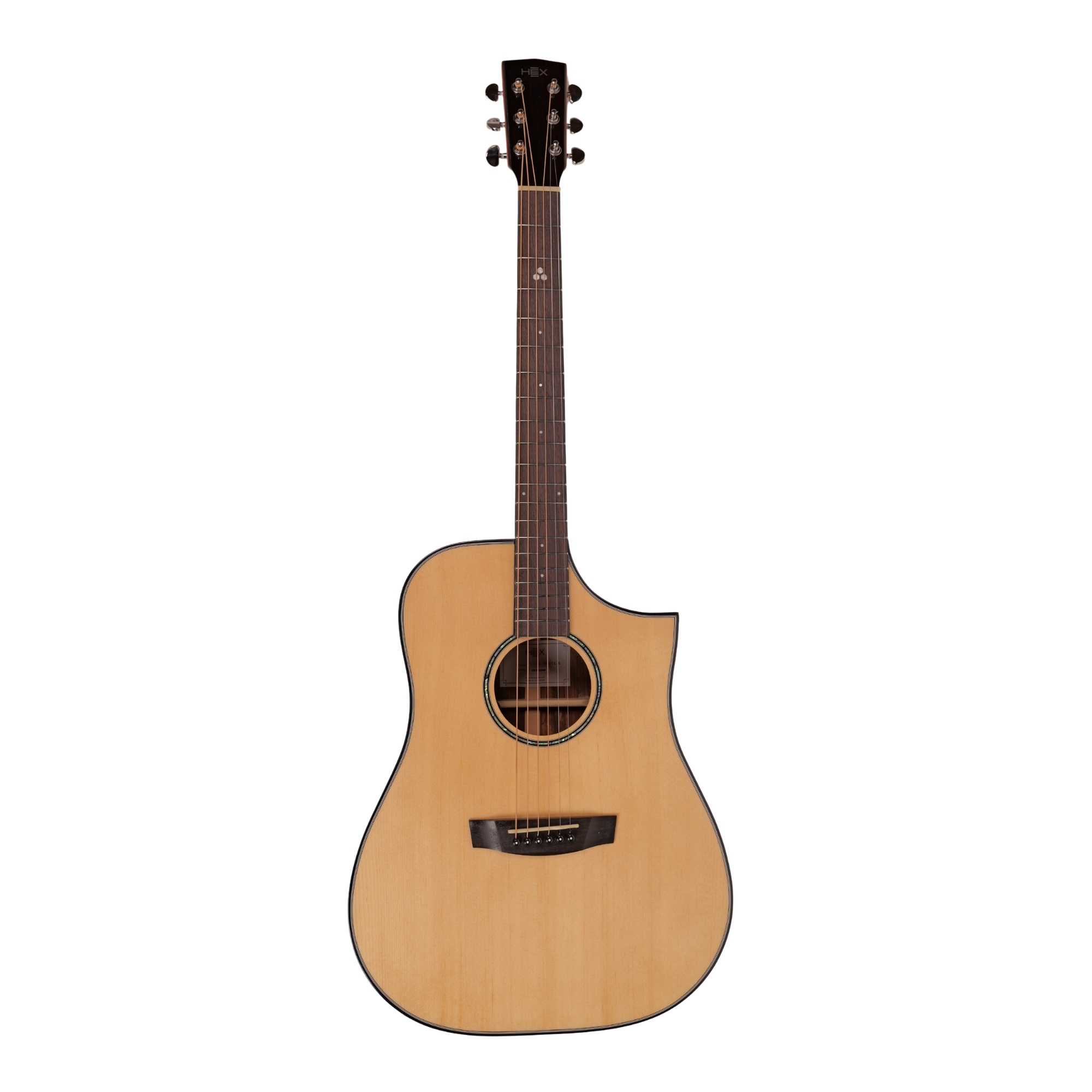 Hex D350CEG WITH FISHMAN SONITONE