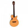 Hex Y500N  CLASSICAL GUITAR WITH LR BAGGS ELEMENT BRONZE EQ