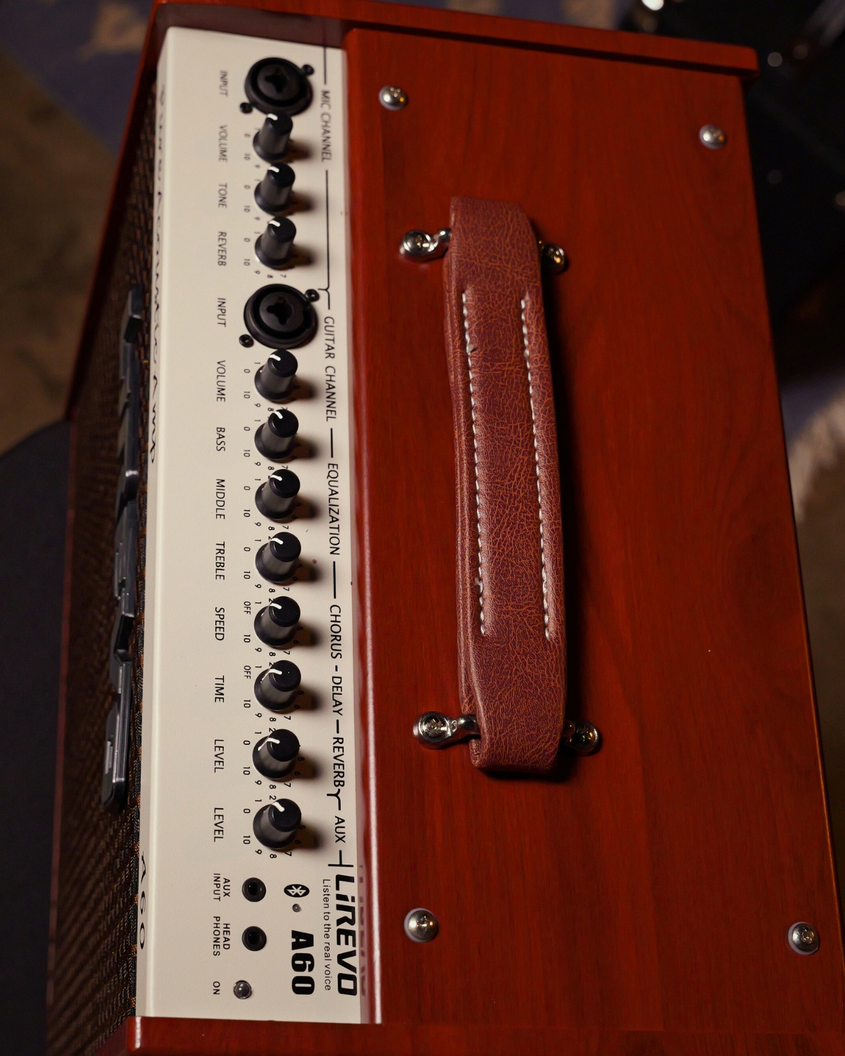 Lirevo A60 60W Acoustic Guitar Amplifier India