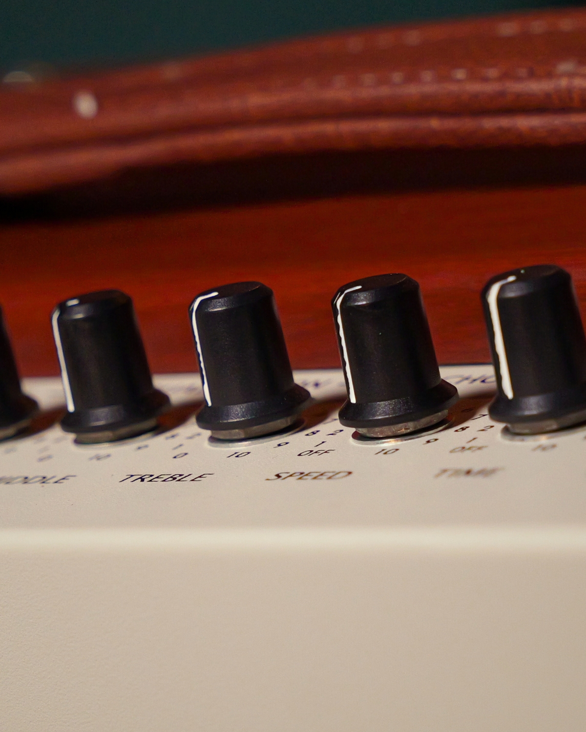 Lirevo A60 60W Acoustic Guitar Amplifier India