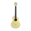 Natasha Asteroid NSX – Carbon Fibre Acoustic Guitar with Smart Pickup Glaze gold