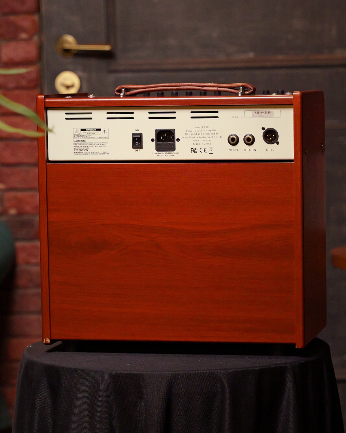 Lirevo A60 60W Acoustic Guitar Amplifier  India