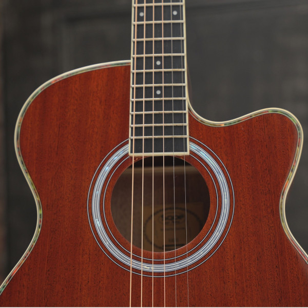 SQOE EA31C Gloss Natural sapele top, rosette and cutaway