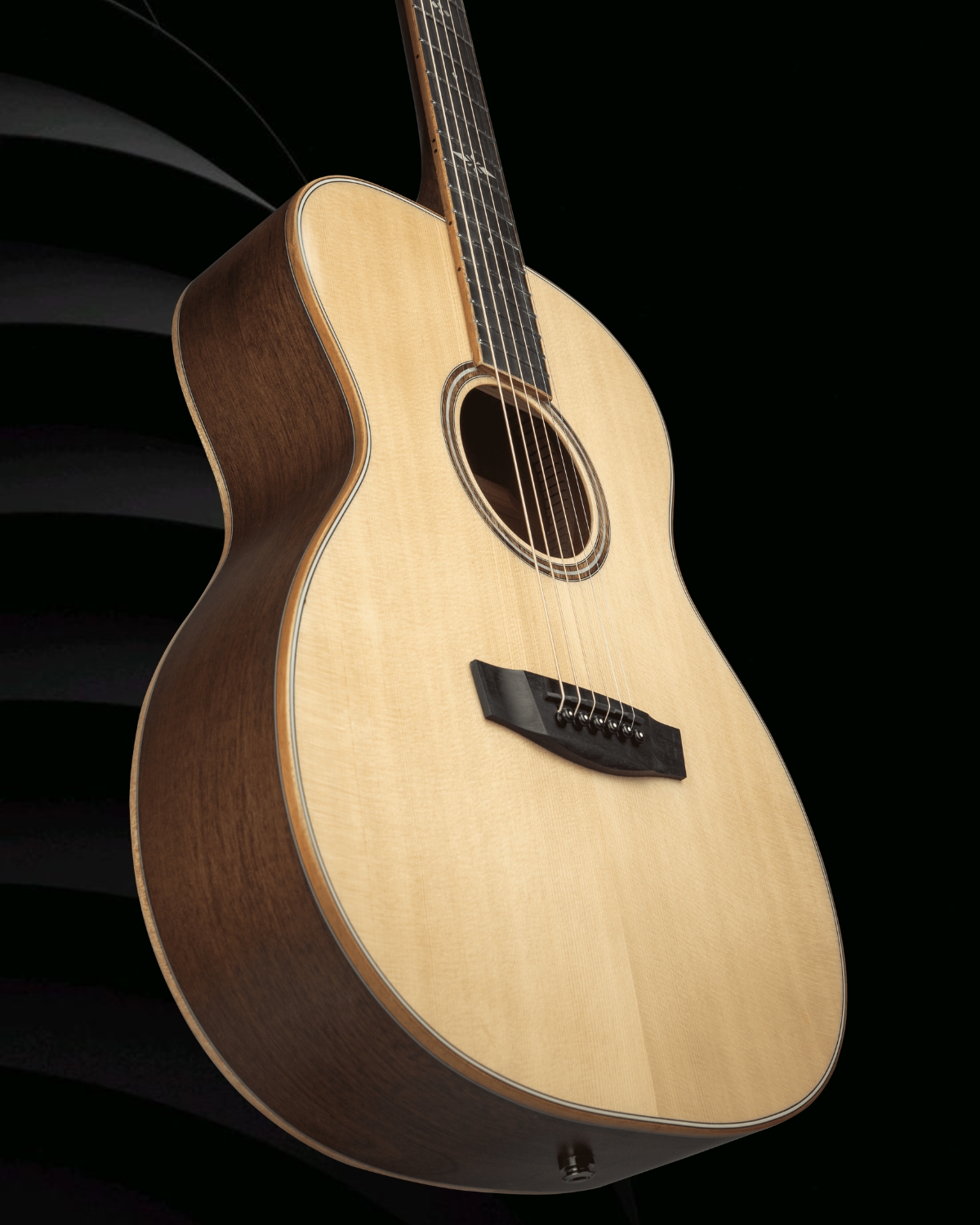 Hex Guitars VF500E