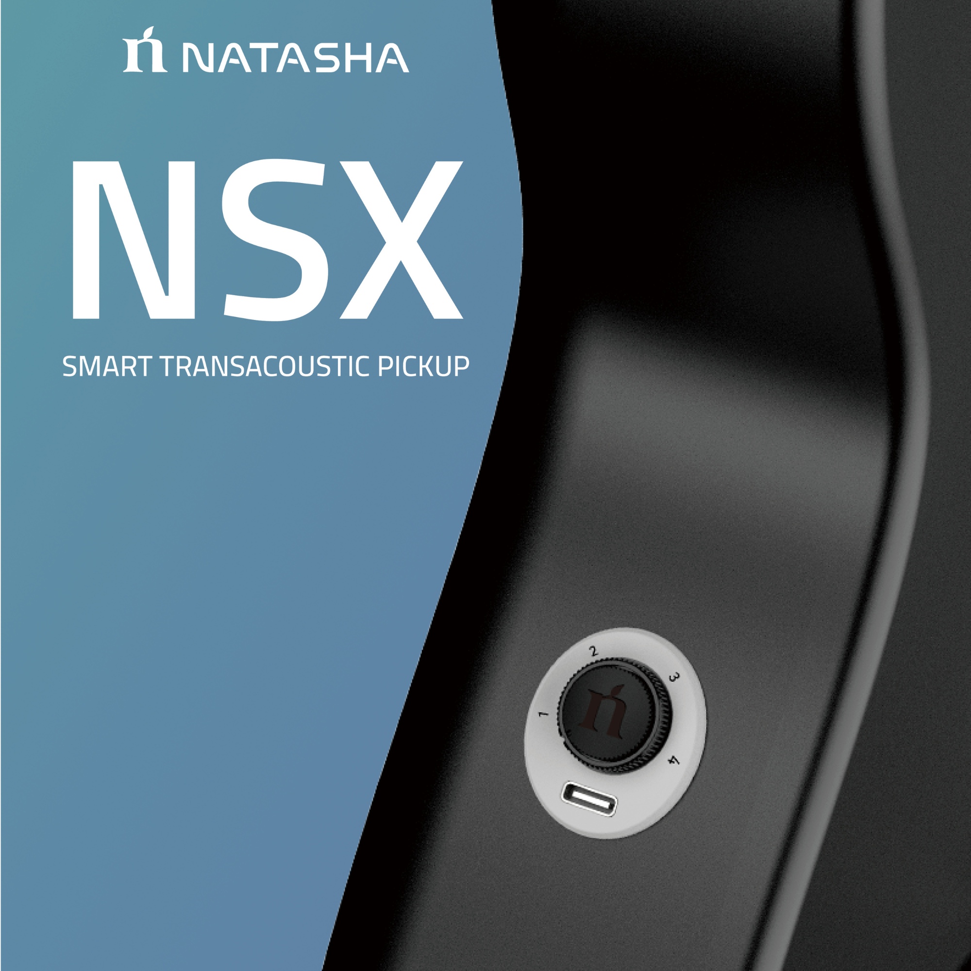 Natasha NSX Transacoustic Bluetooth pick up