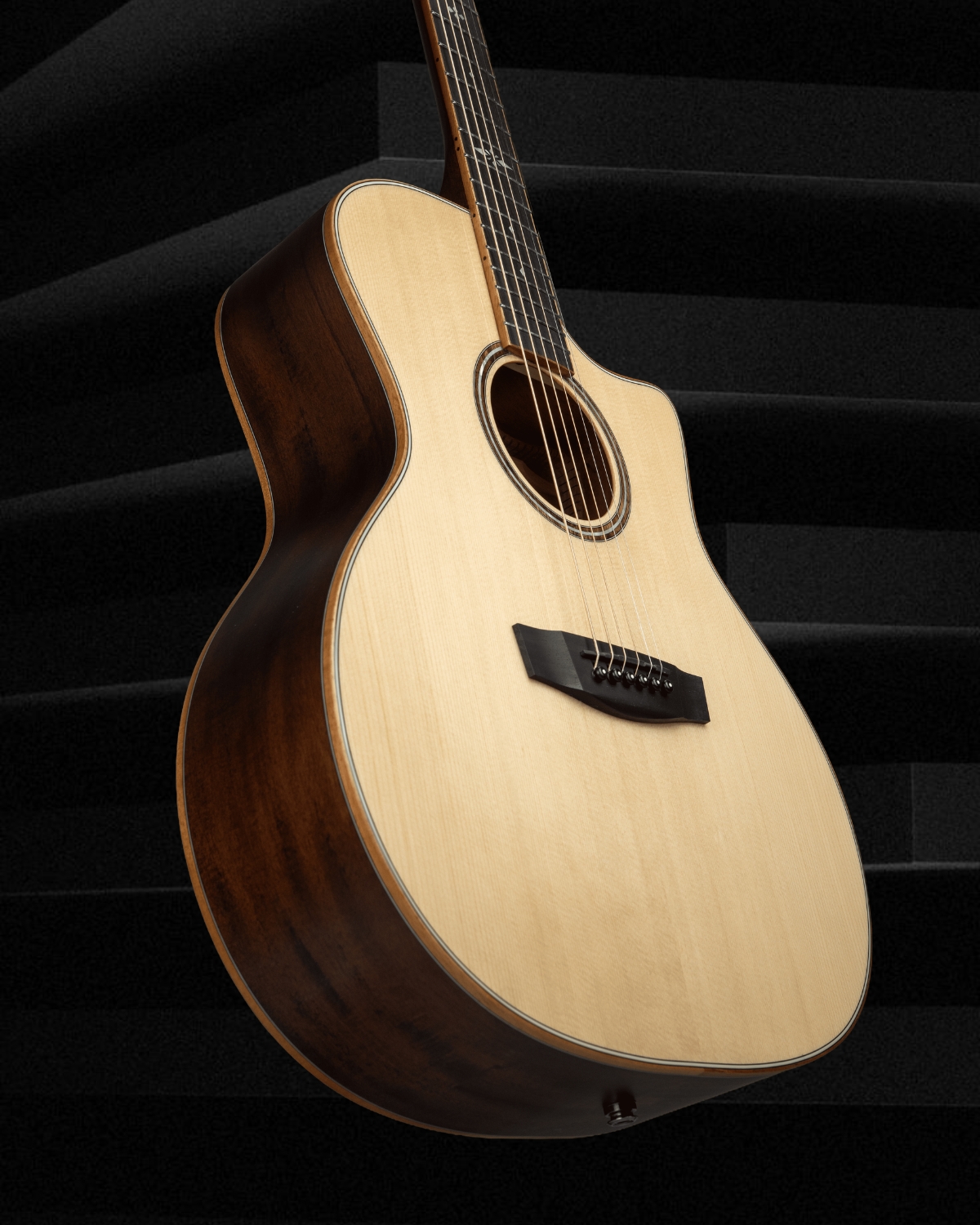 Hex Guitars VG500E