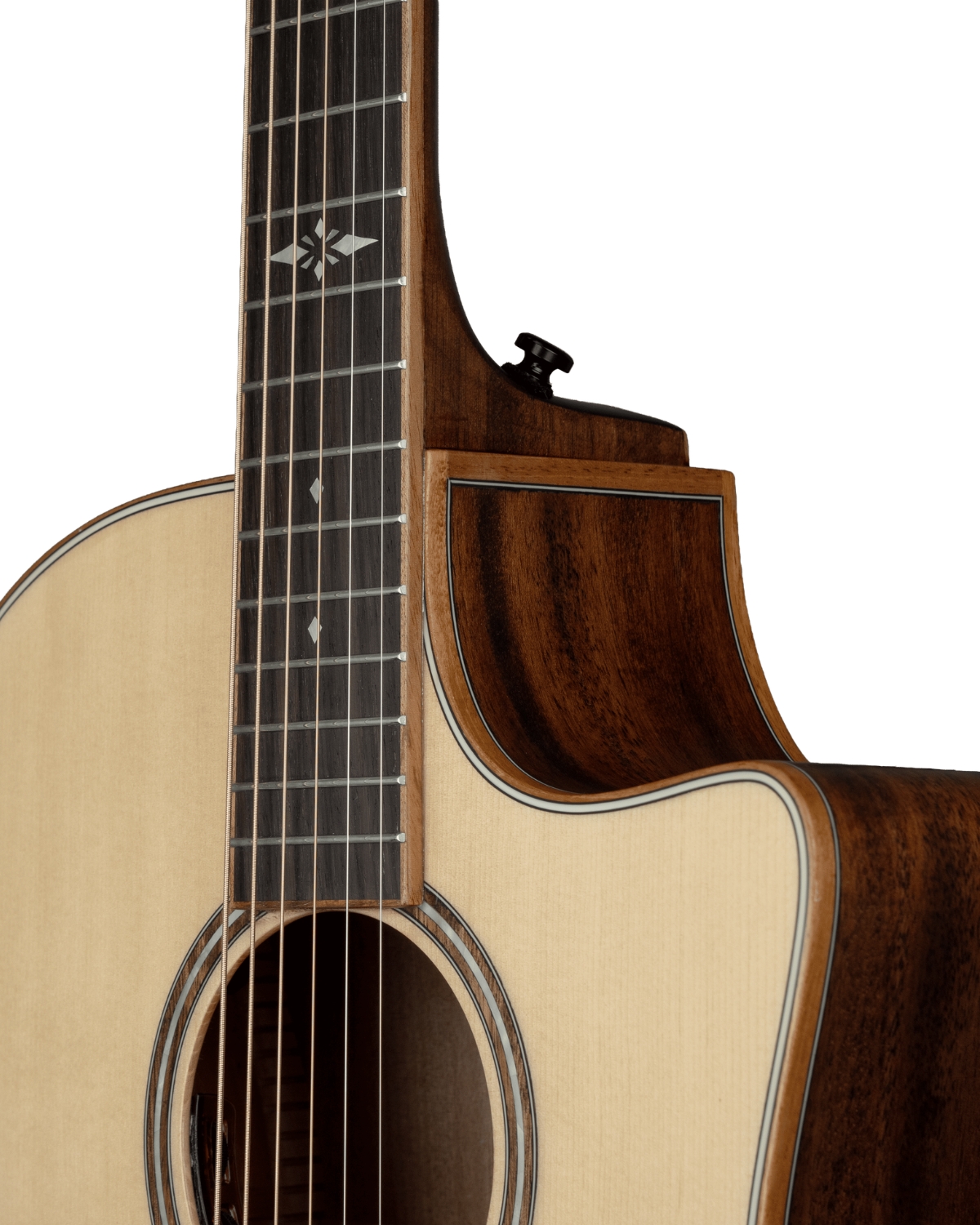 Hex Guitars VG500E