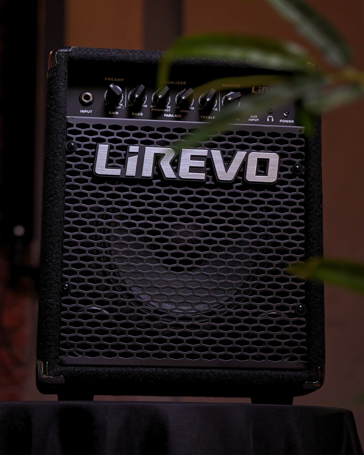 Lirevo B20 20W Bass Guitar Amplifier India