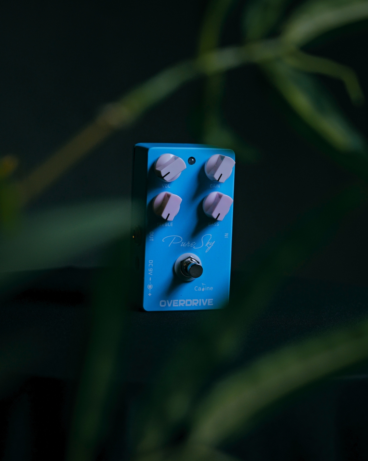 Caline CP-12 Pure Sky Overdrive Pedal  Transparent EQ Drive