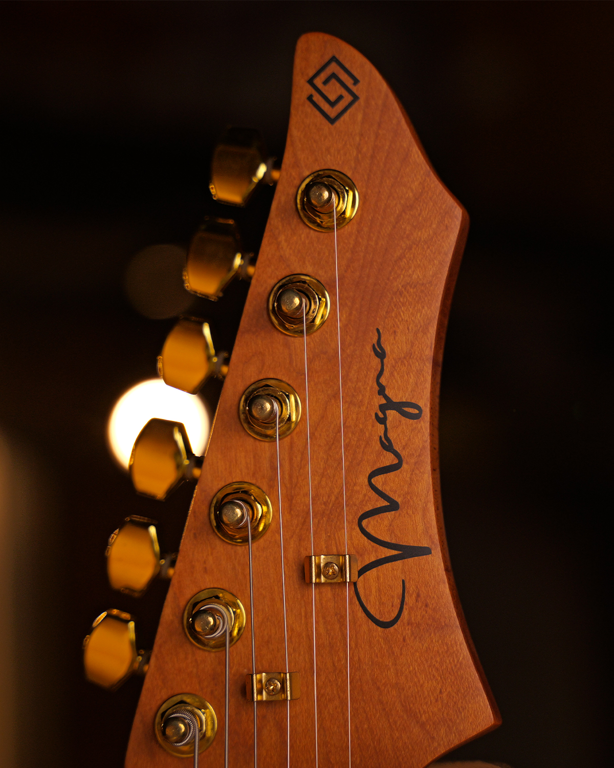 Strydom ST30M Texas Flood  Gold Hardware  HSS Coil Split