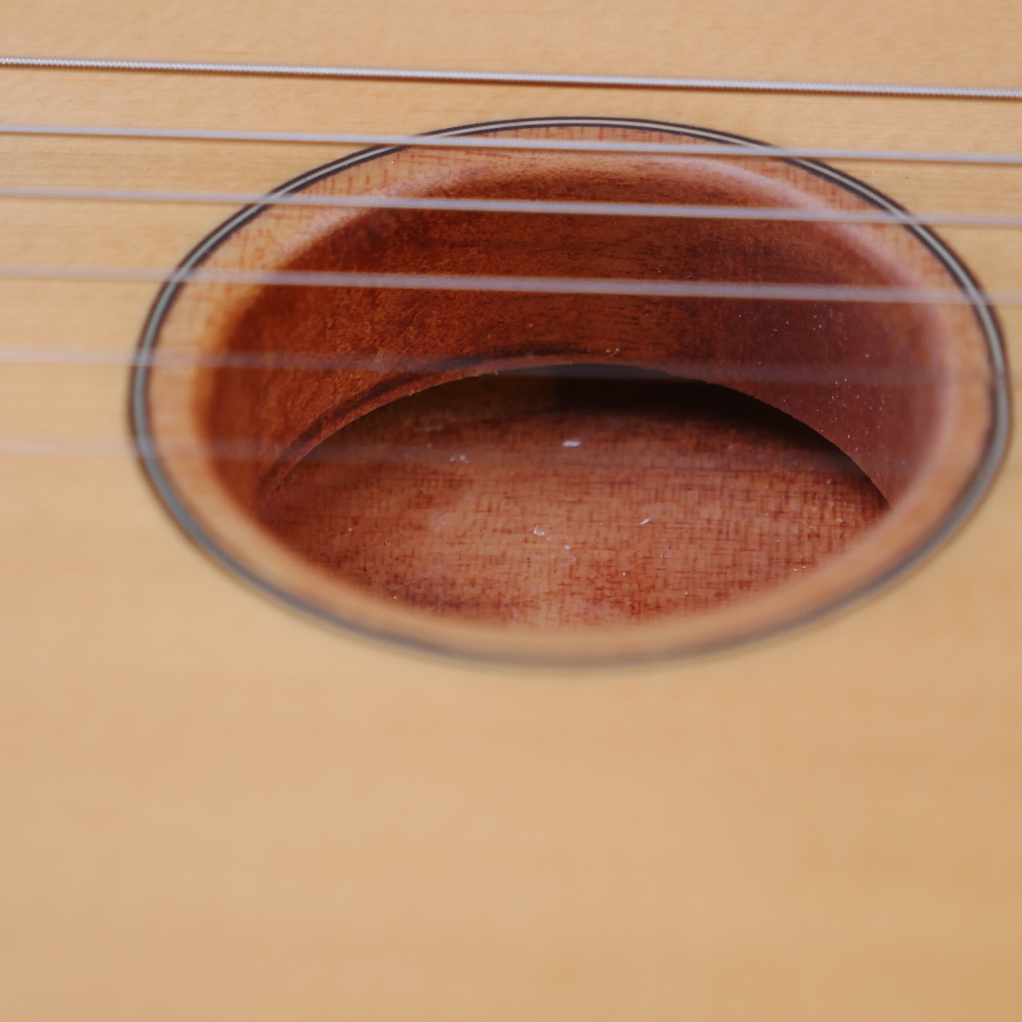 SQOE SEAE910 WINTER SPRUCE ACOUSTASONIC SERIES