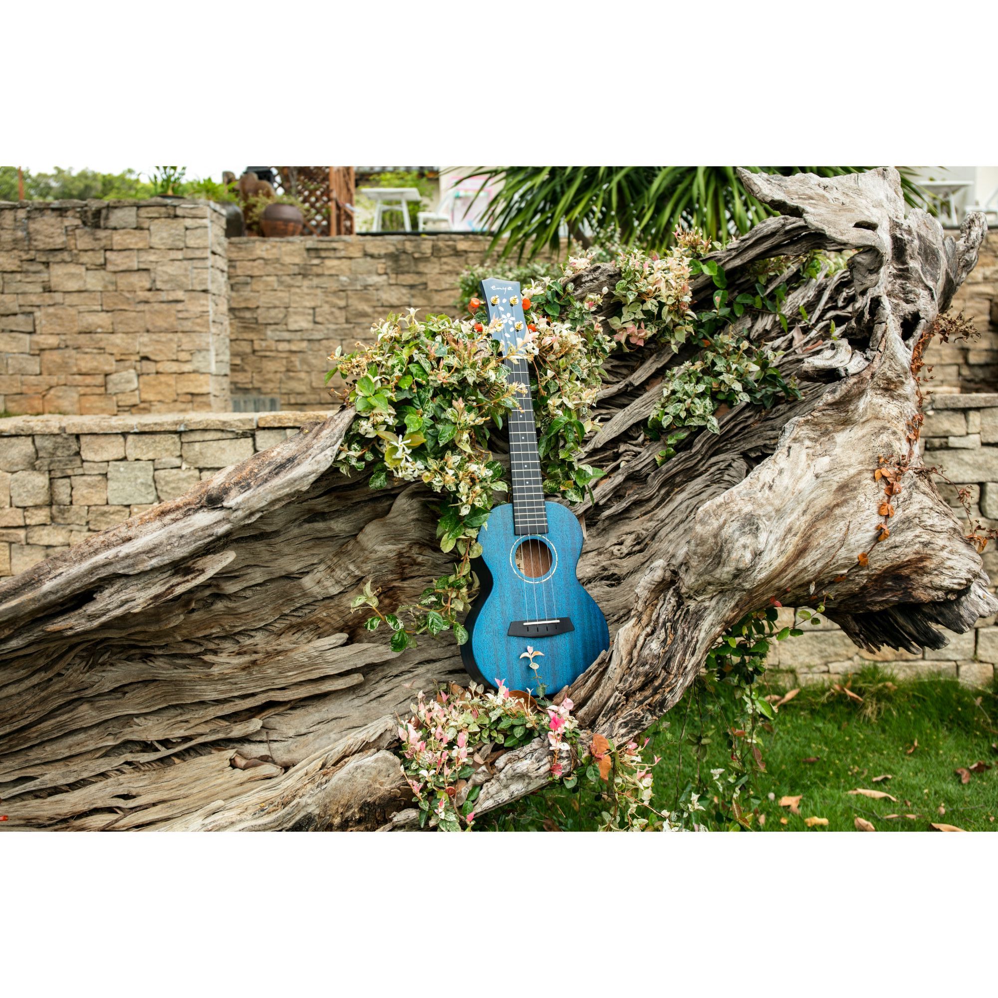 Enya EUC MS Blue All Solid Mahogany