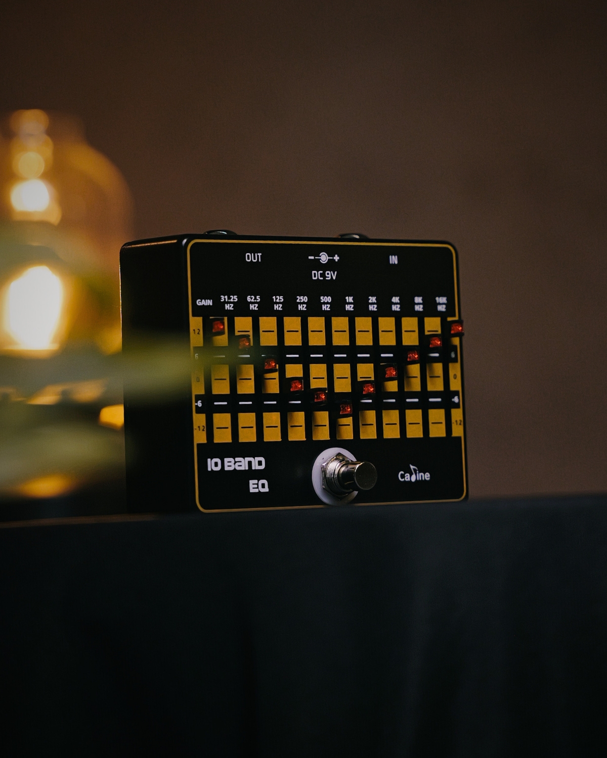 Caline CP-24 10 Band EQ Pedal  Precision Guitar Equalizer