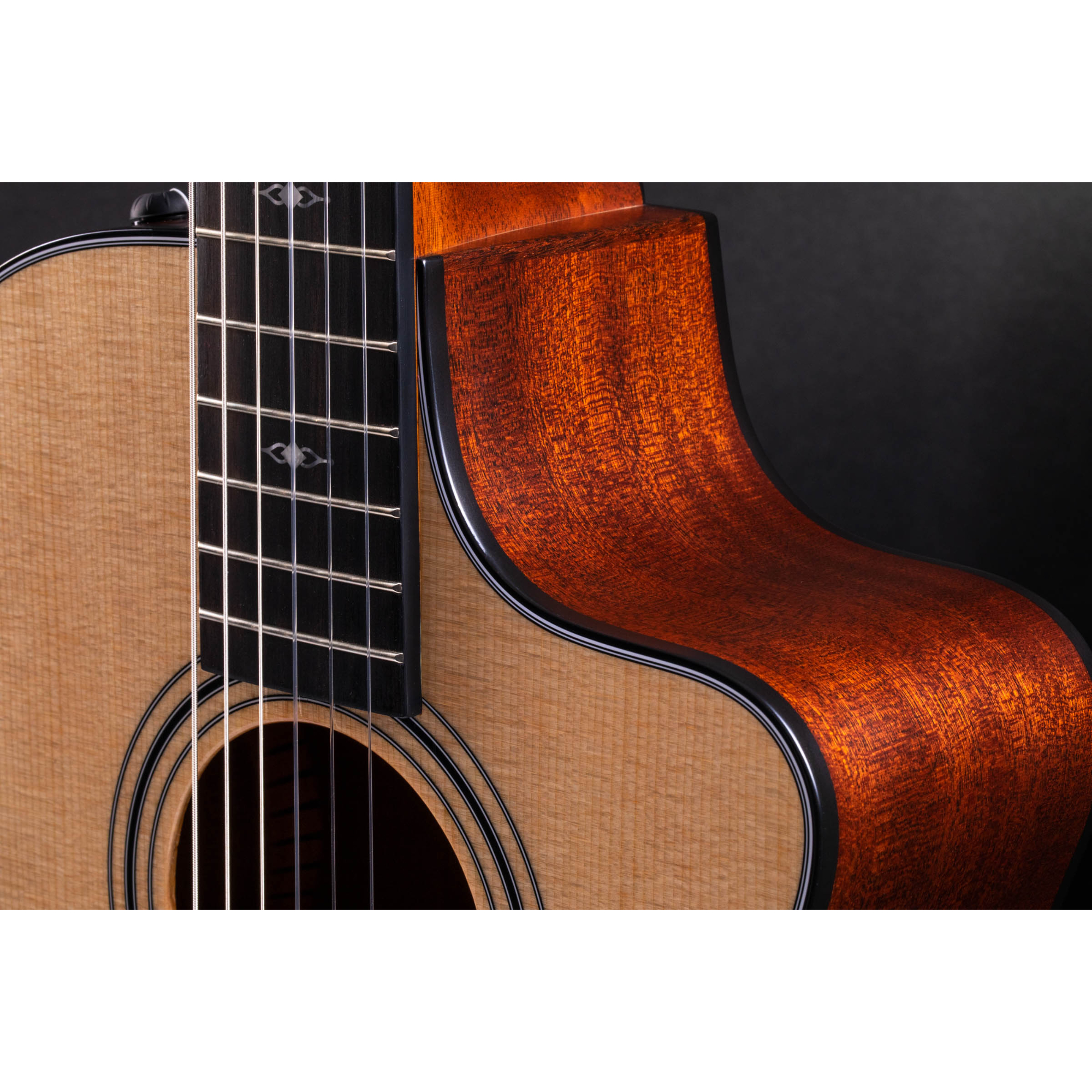 Taylor 312ce-N Nylon Acoustic-electric Guitar - Natural Sitka Spruce