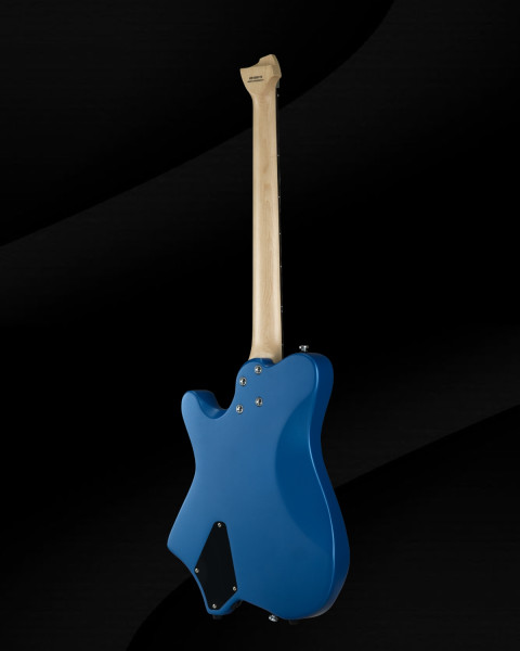 Rosewood and maple fretboard options on the Hex Guitars NT100