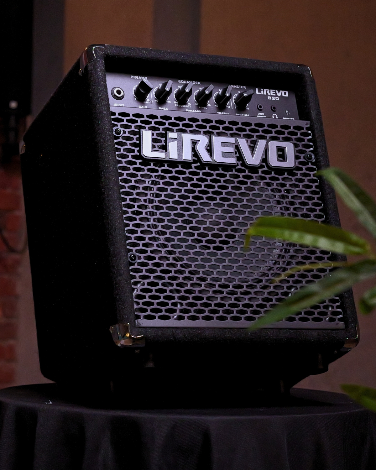 Lirevo B20 20W Bass Guitar Amplifier India