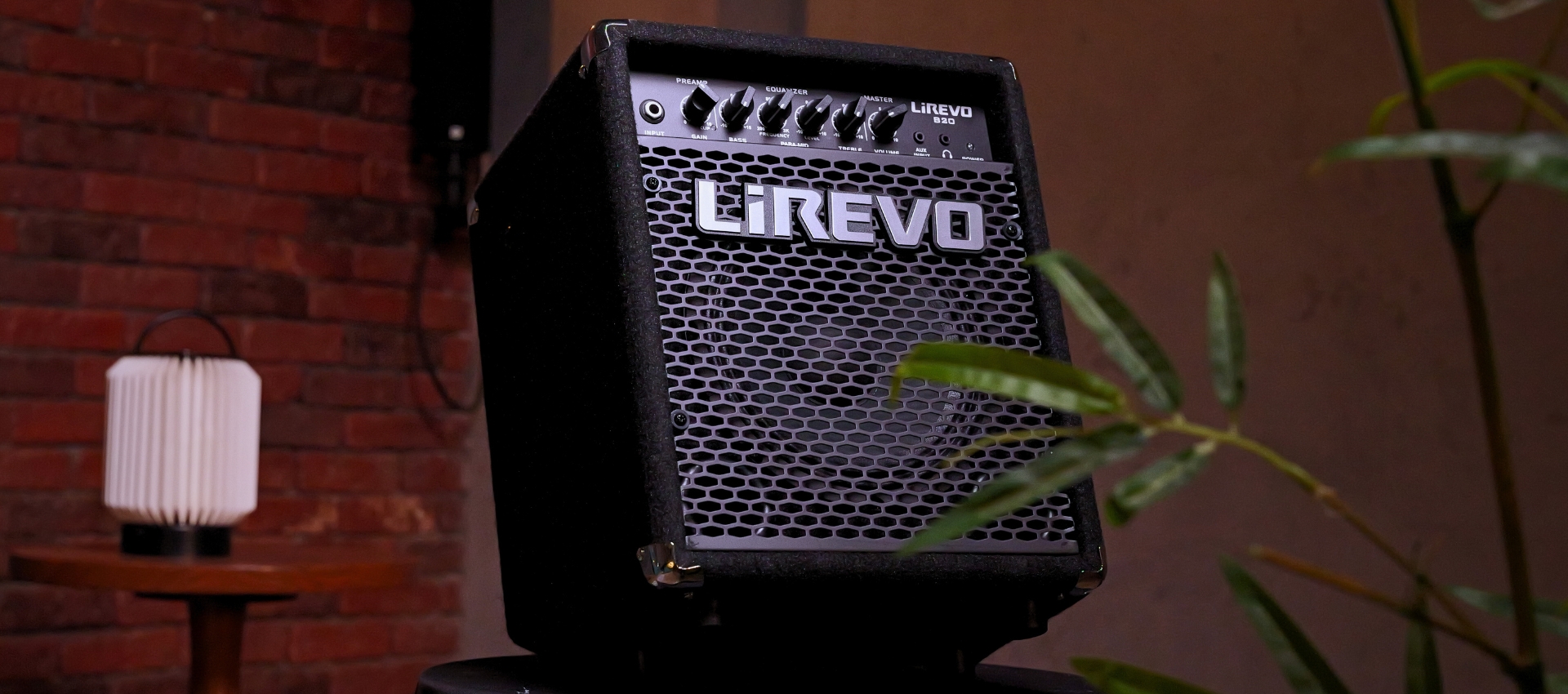 Lirevo B20 20W Bass Guitar Amplifier India