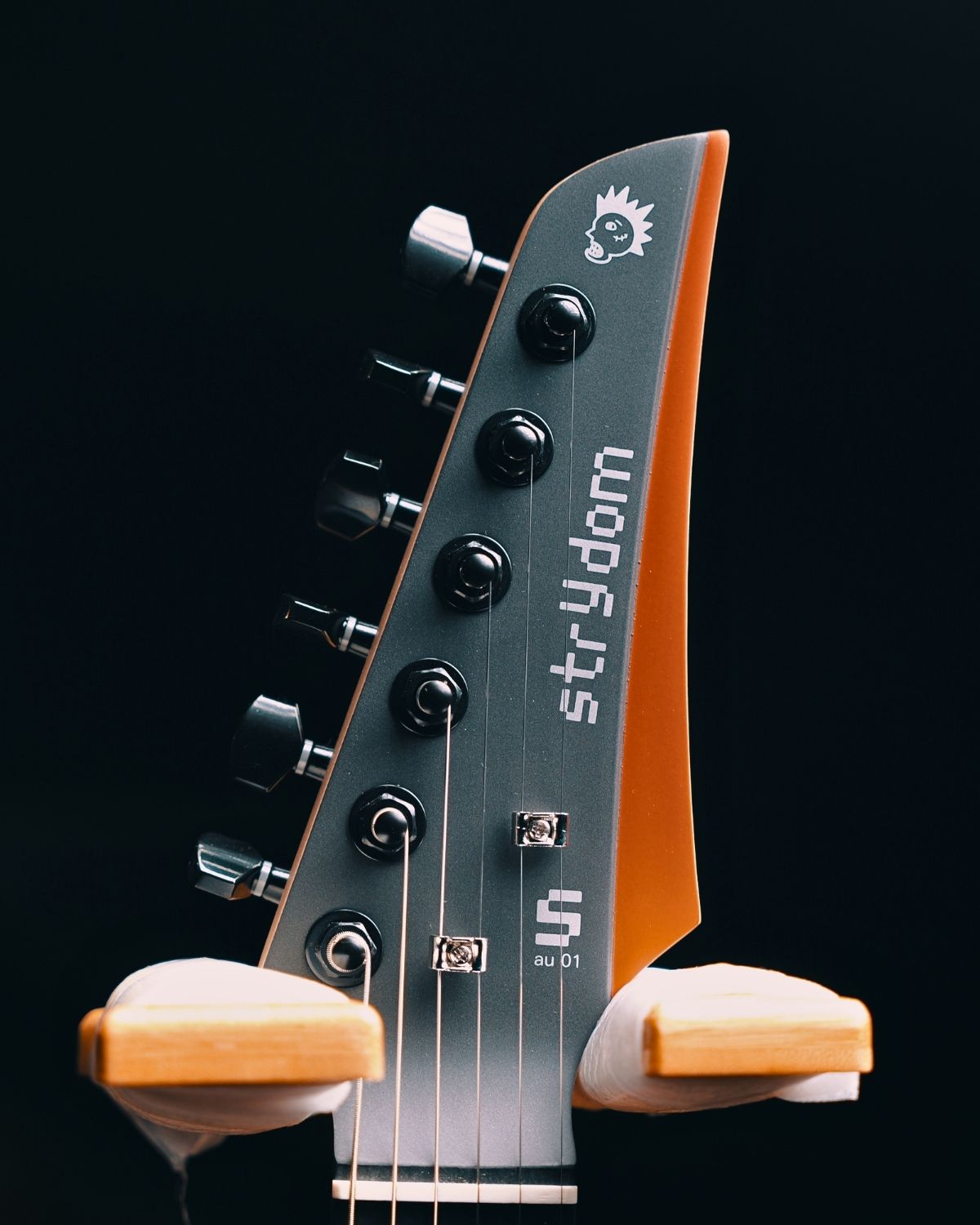 Strydom Smart Guitar AU01 - Desert Bloom