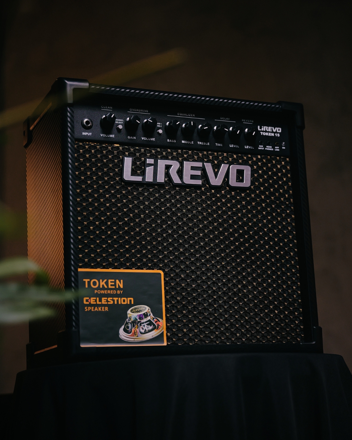 LiREVO Token 30- 30W electric amplifier with Celestion speakers