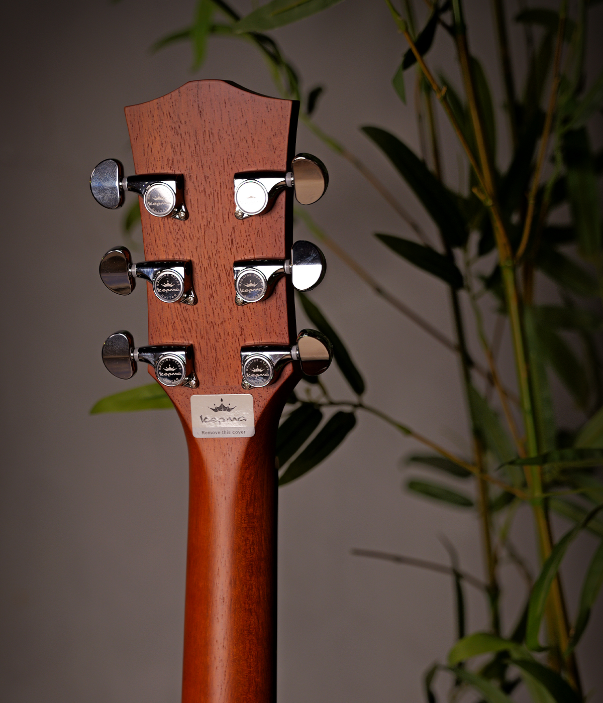 Kepma F0-BE Phoenix Series Solid Top with Fishman sonitone Semi-Acoustic Guitar - Natural