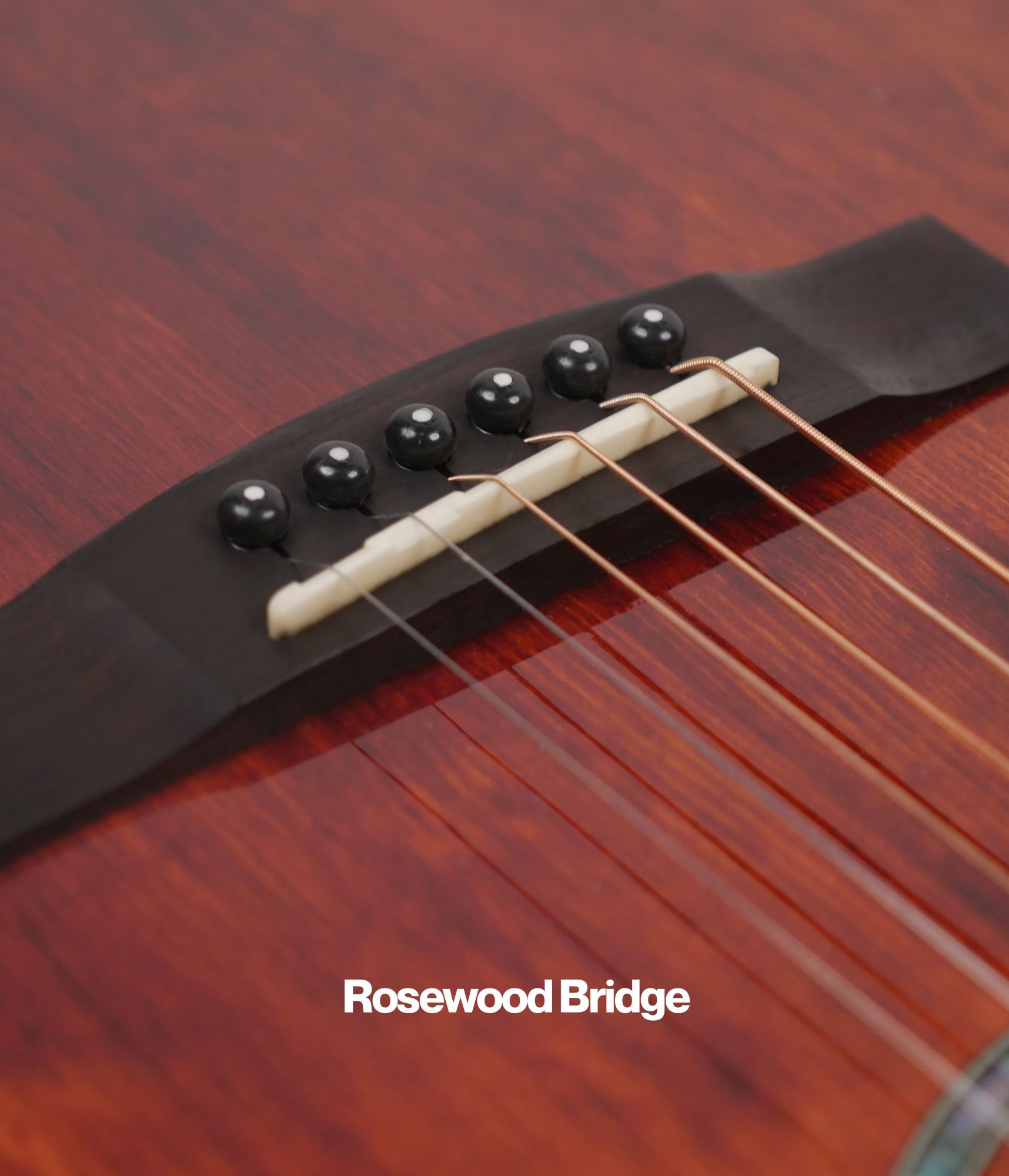 SQOE S200OM FG Solid top Acoustic guitar - Natural gloss