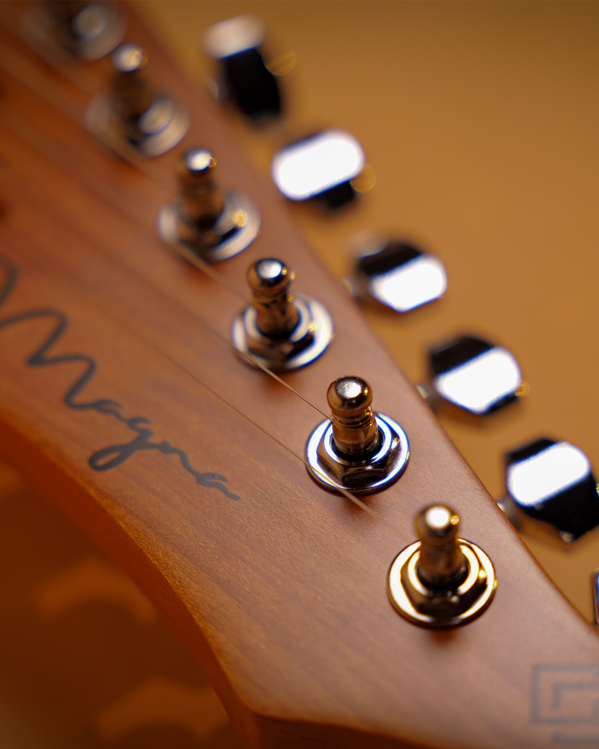 Strydom ST30 Pro Frost Blue  Built-In Riot Processor  HSS