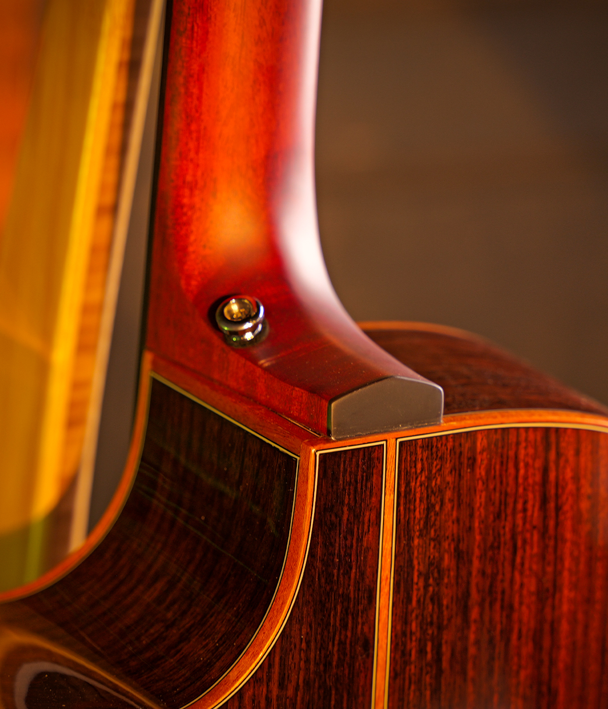 Hex GA750CEG -QUEEN SERIES WITH LR BAGGS ELEMENT BRONZE EQ - ALL SOLID