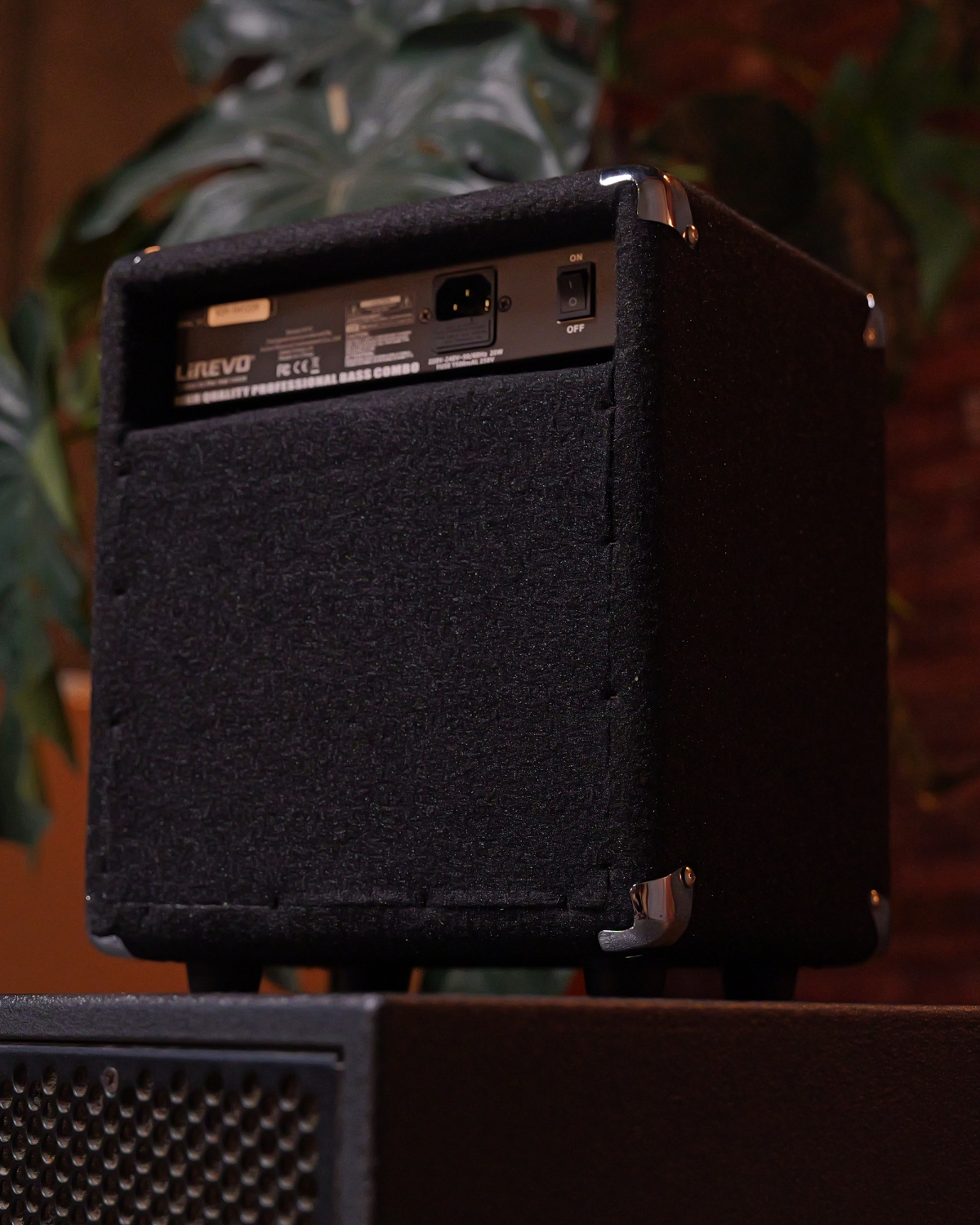 Lirevo B10 10W Bass Guitar Amplifier India