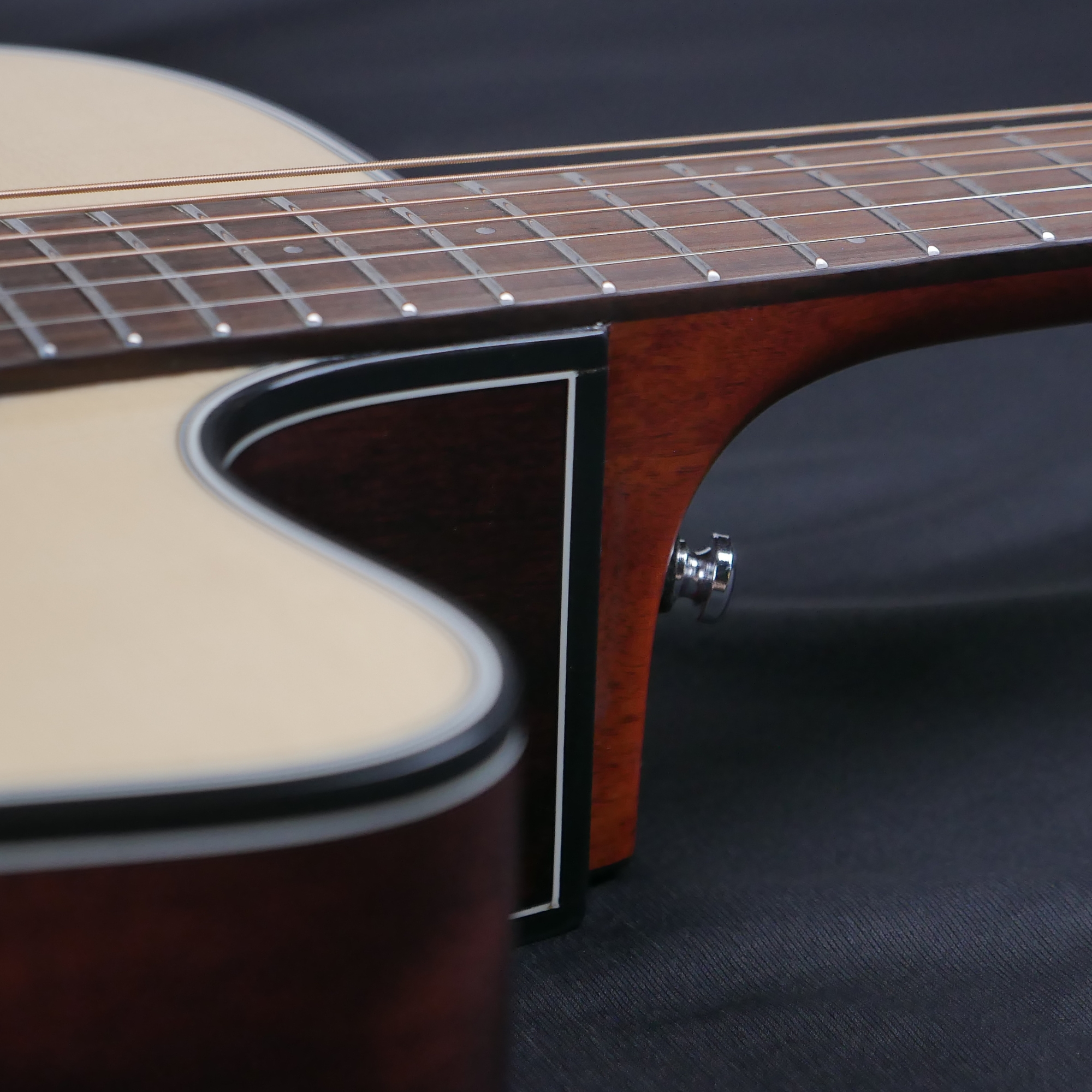 Hex D500CEG -QUEEN SERIES WITH FISHMAN EQ - ALL SOLID