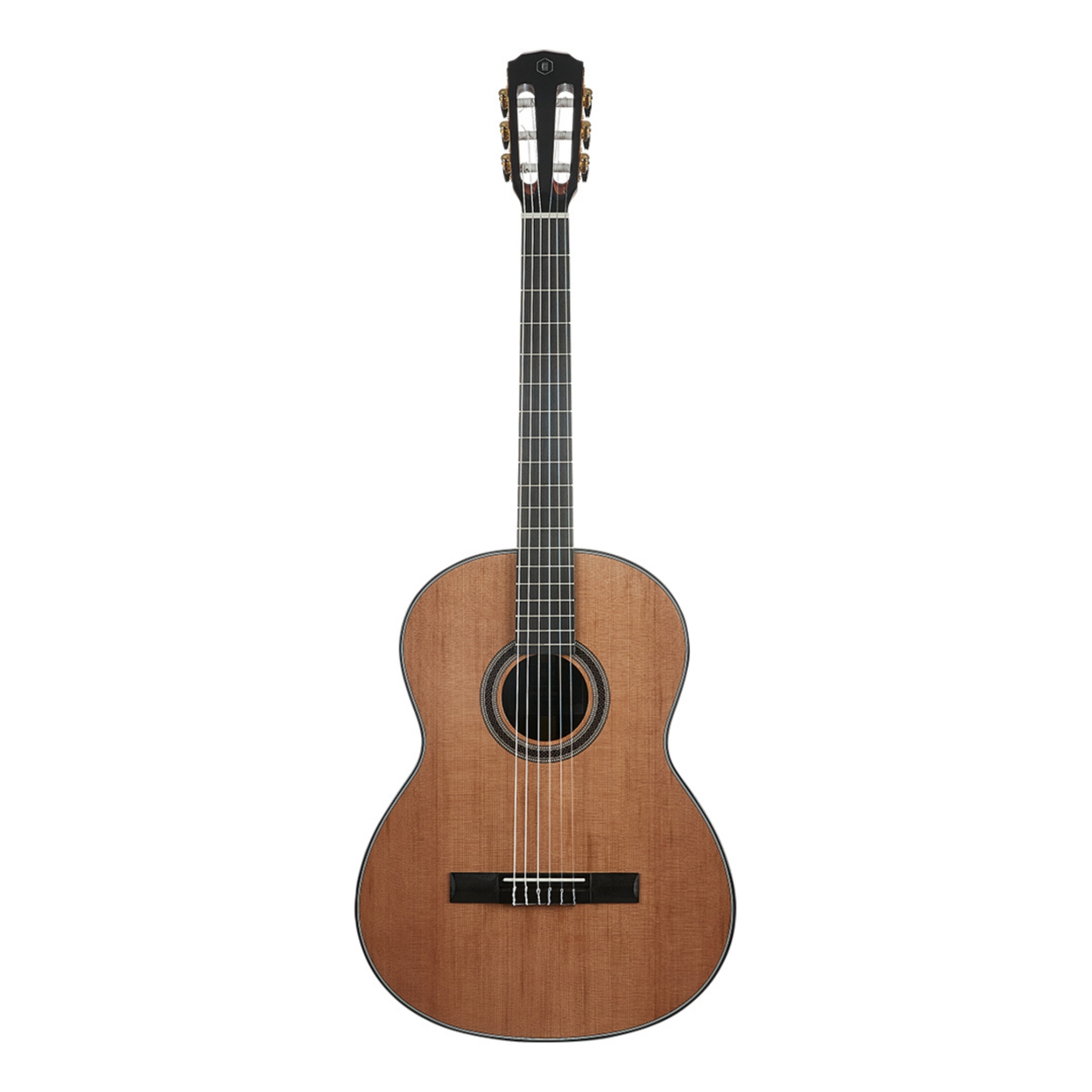 HEX C350G ROASTED SOLID SPRUCE TOP 39 CLASSICAL POLLEN SERIES